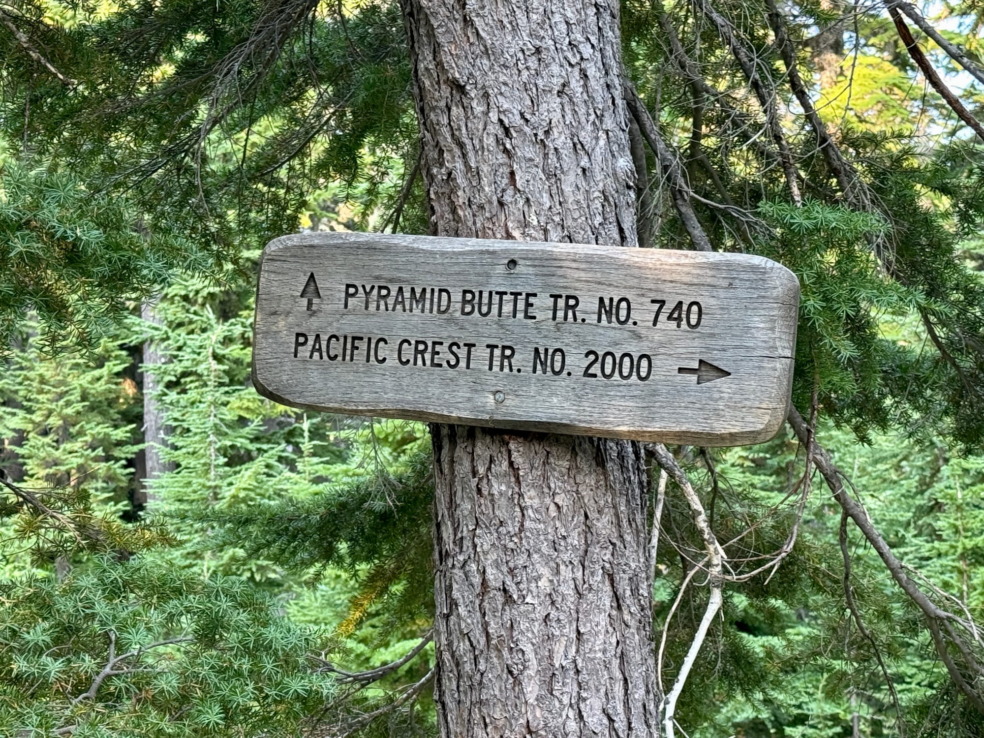 Pacific Crest Trail - Day 158 - Olallie Lake