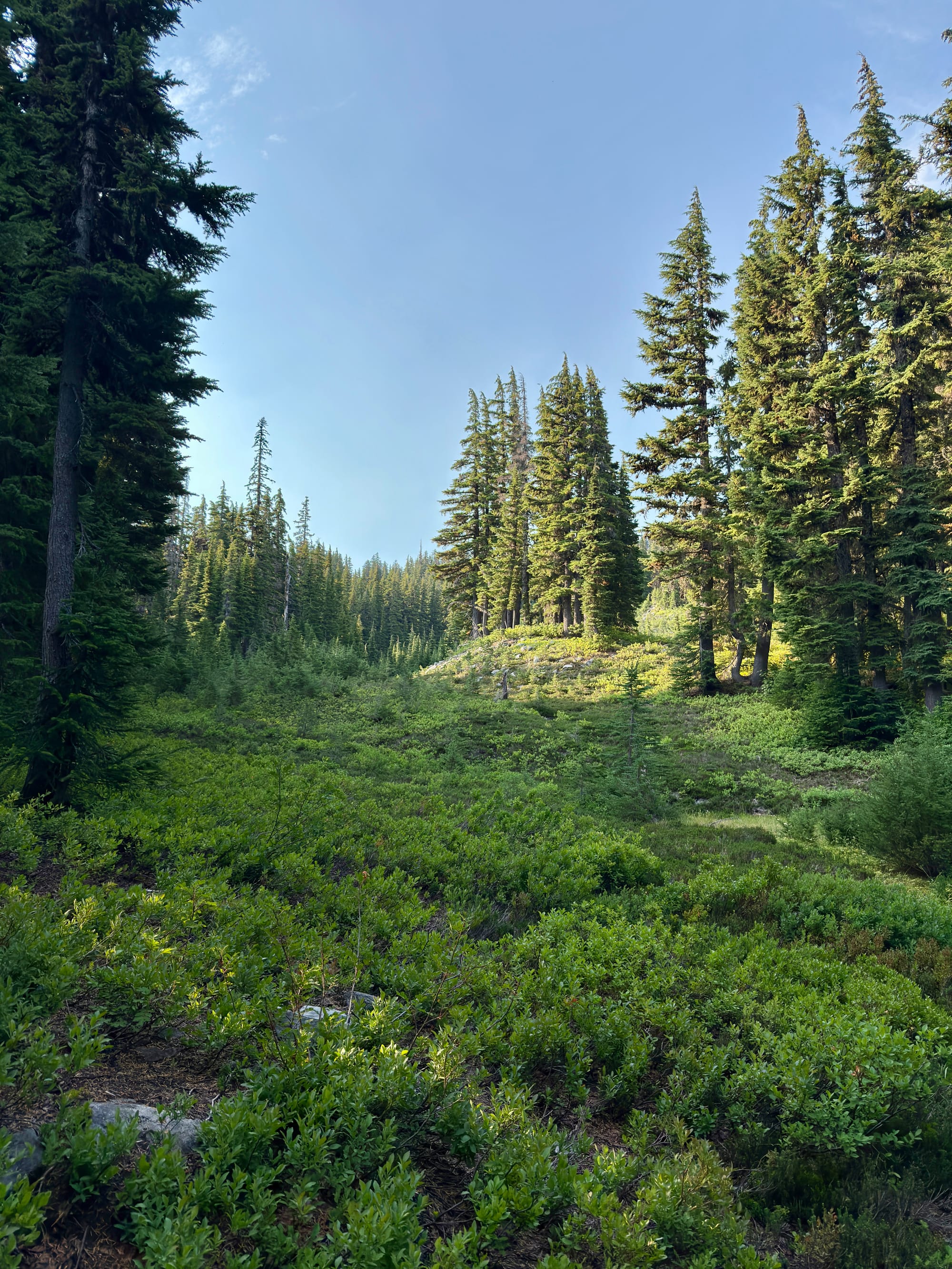 Pacific Crest Trail - Day 158 - Olallie Lake