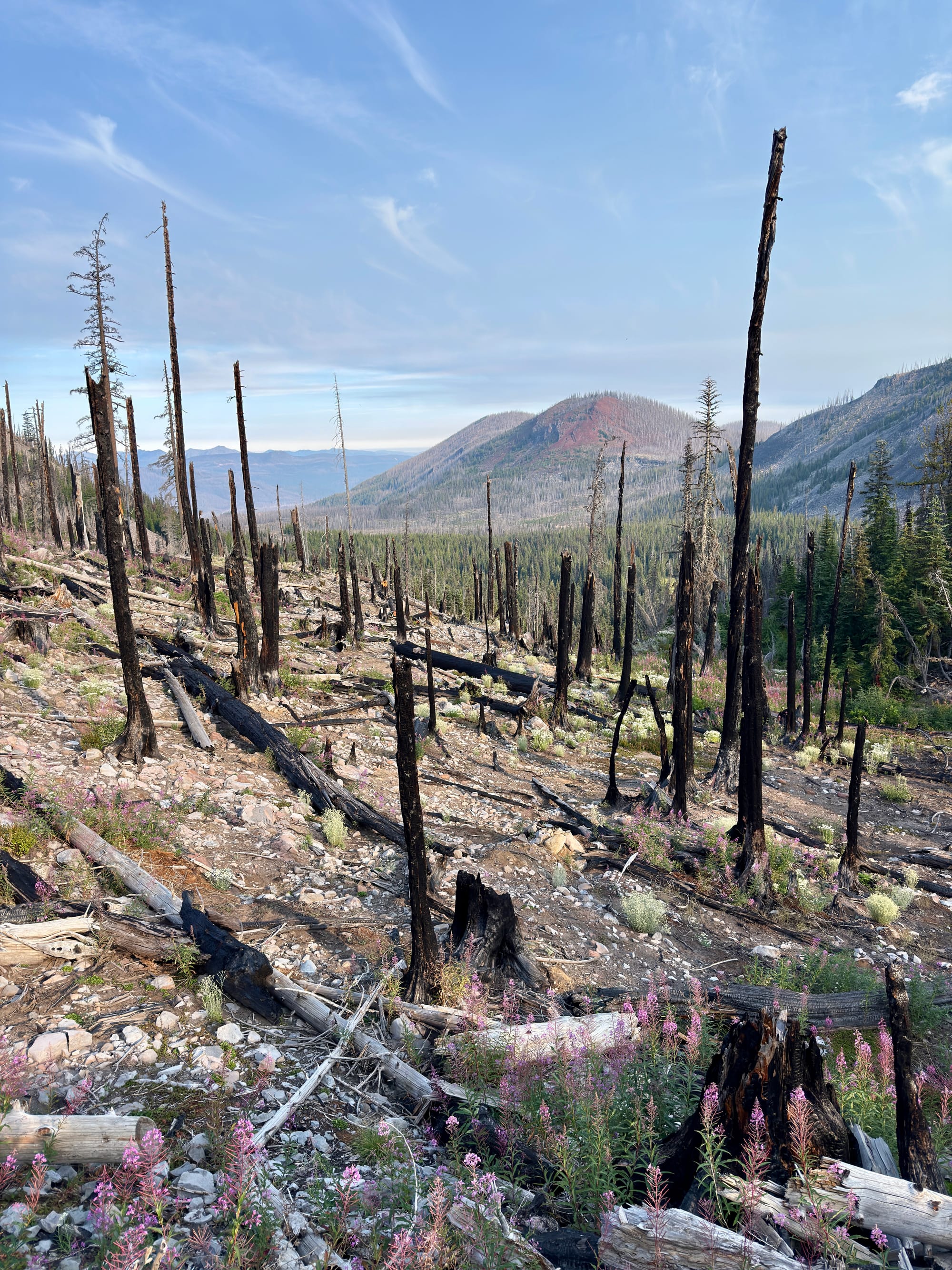Pacific Crest Trail - Day 158 - Olallie Lake