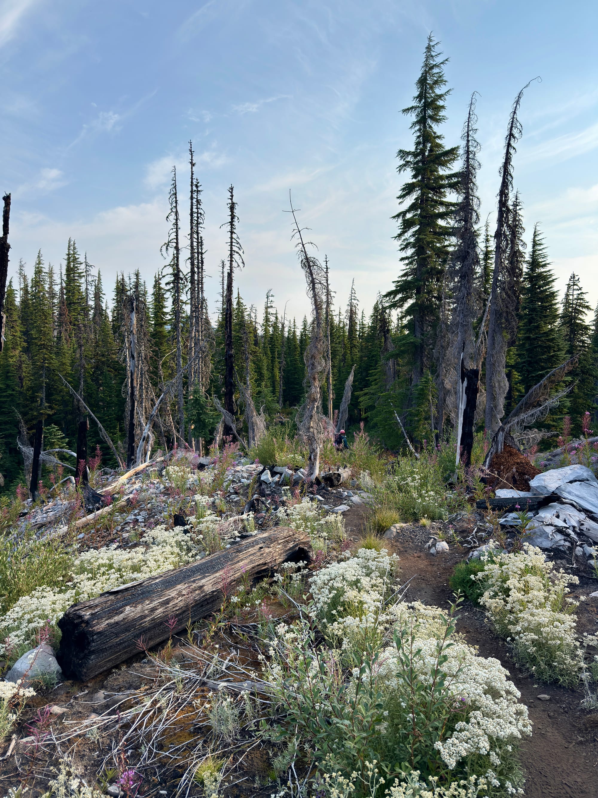 Pacific Crest Trail - Day 158 - Olallie Lake
