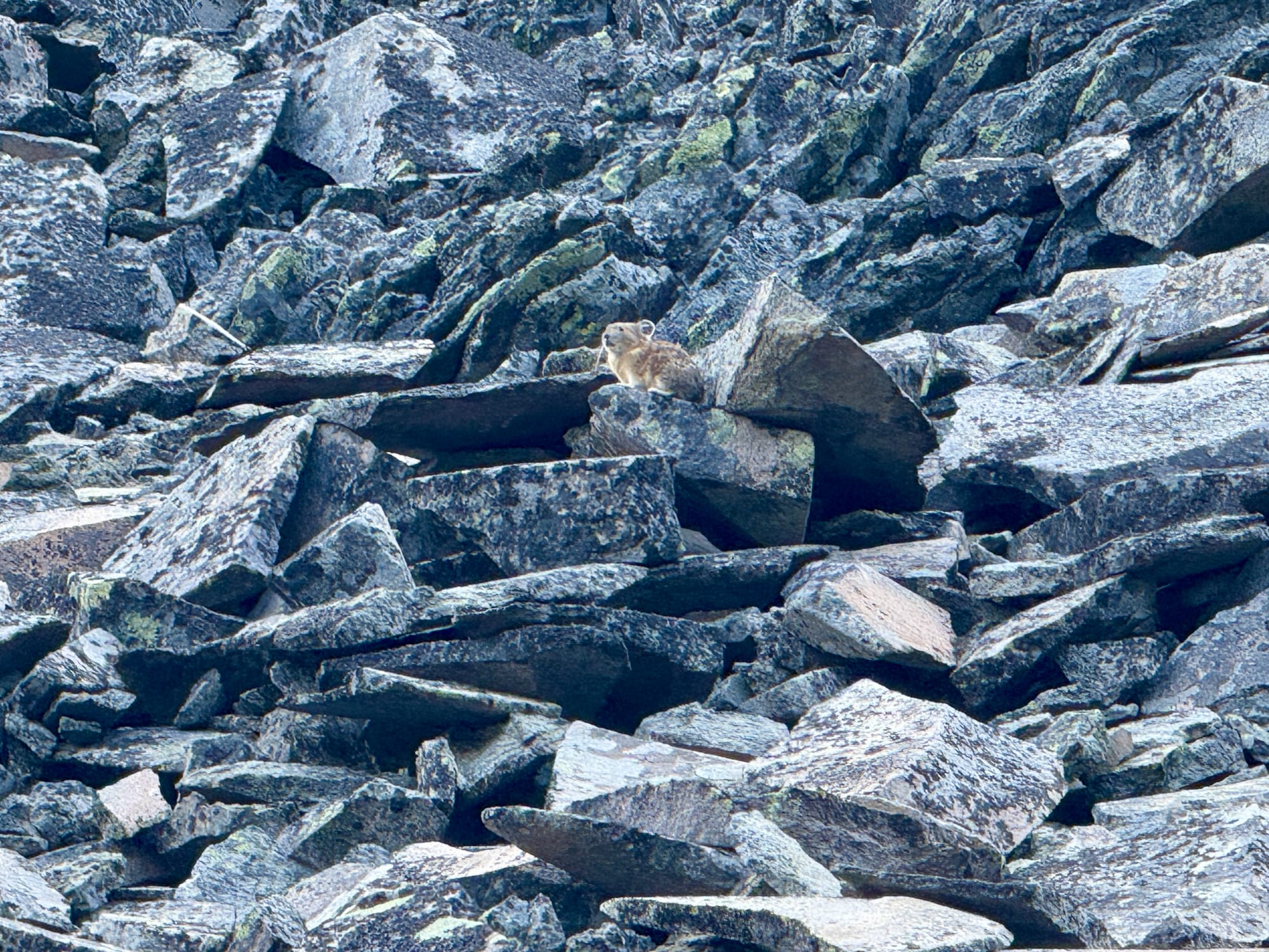 Pacific Crest Trail - Day 158 - Olallie Lake