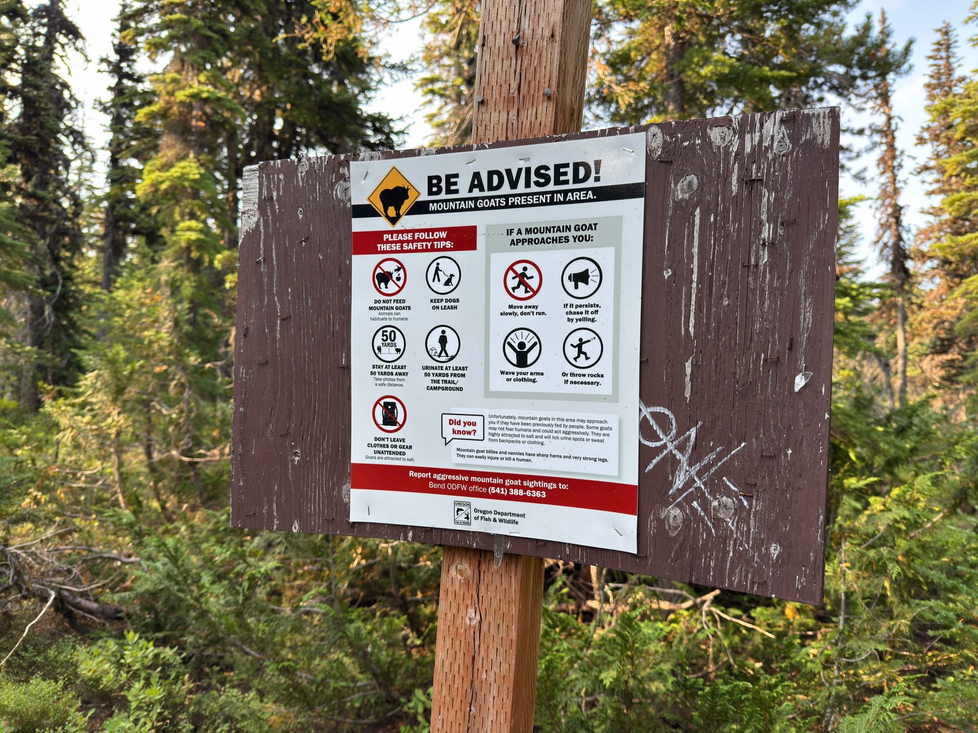 Pacific Crest Trail - Day 158 - Olallie Lake