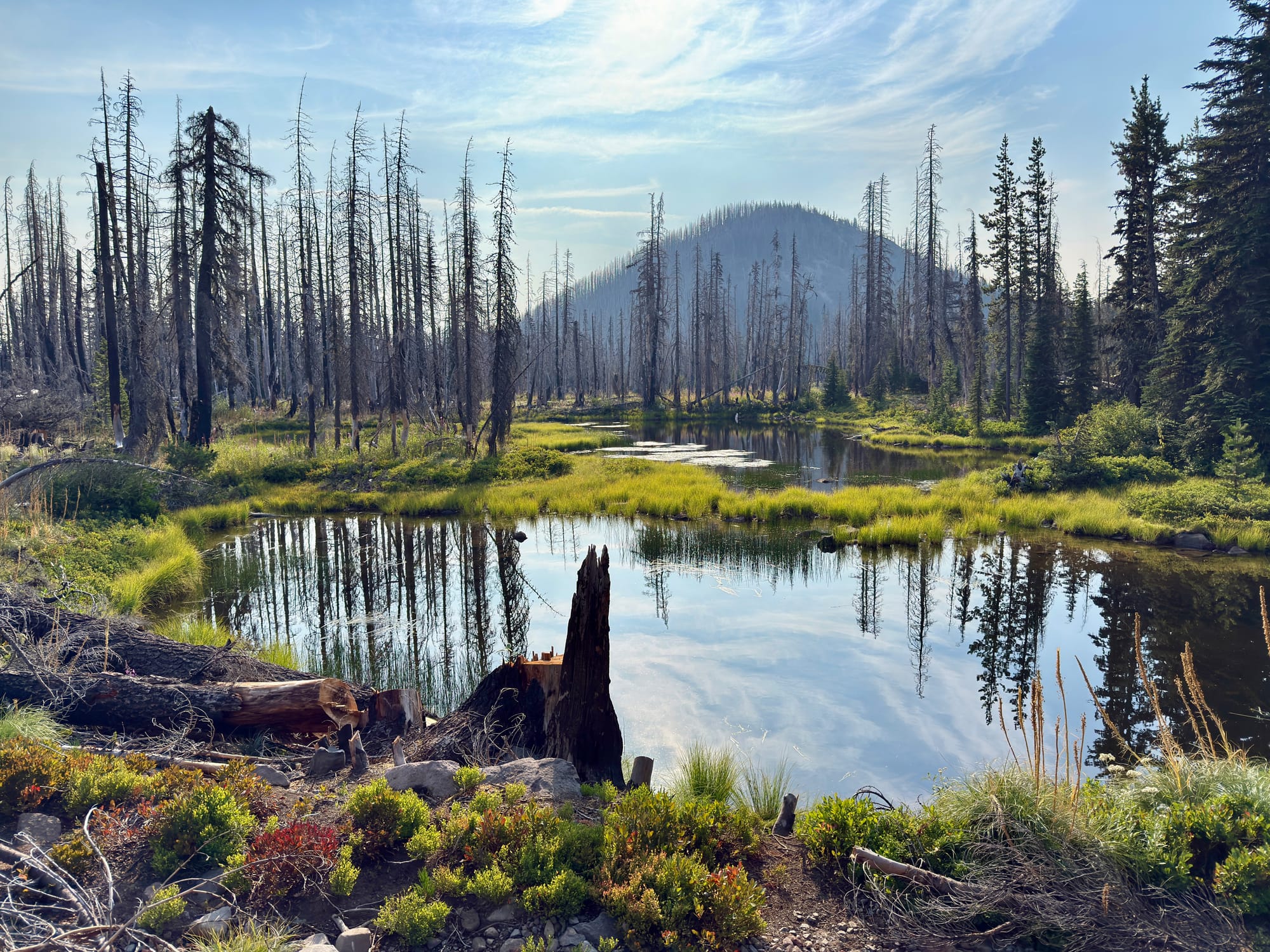Pacific Crest Trail - Day 158 - Olallie Lake