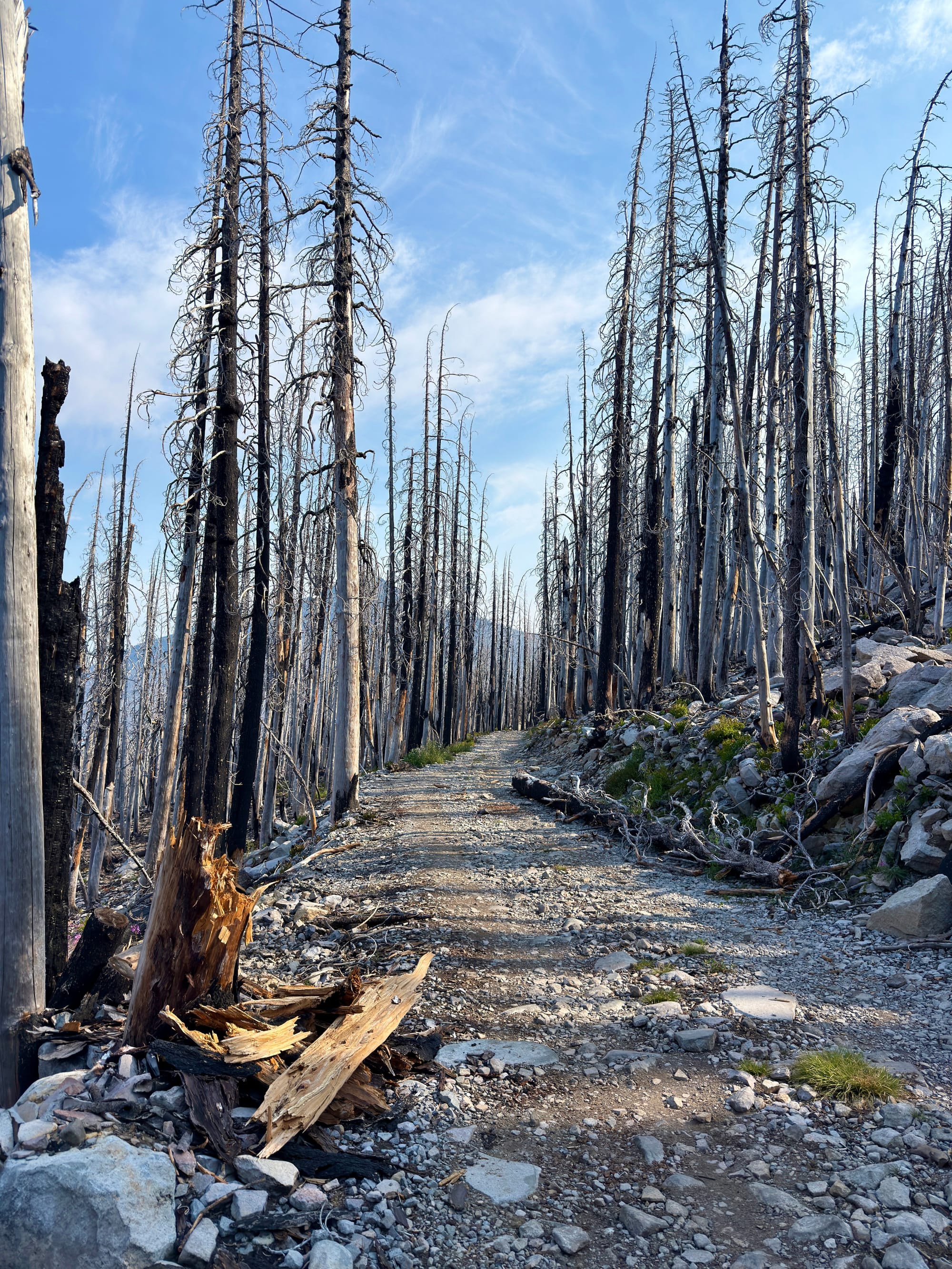 Pacific Crest Trail - Day 158 - Olallie Lake