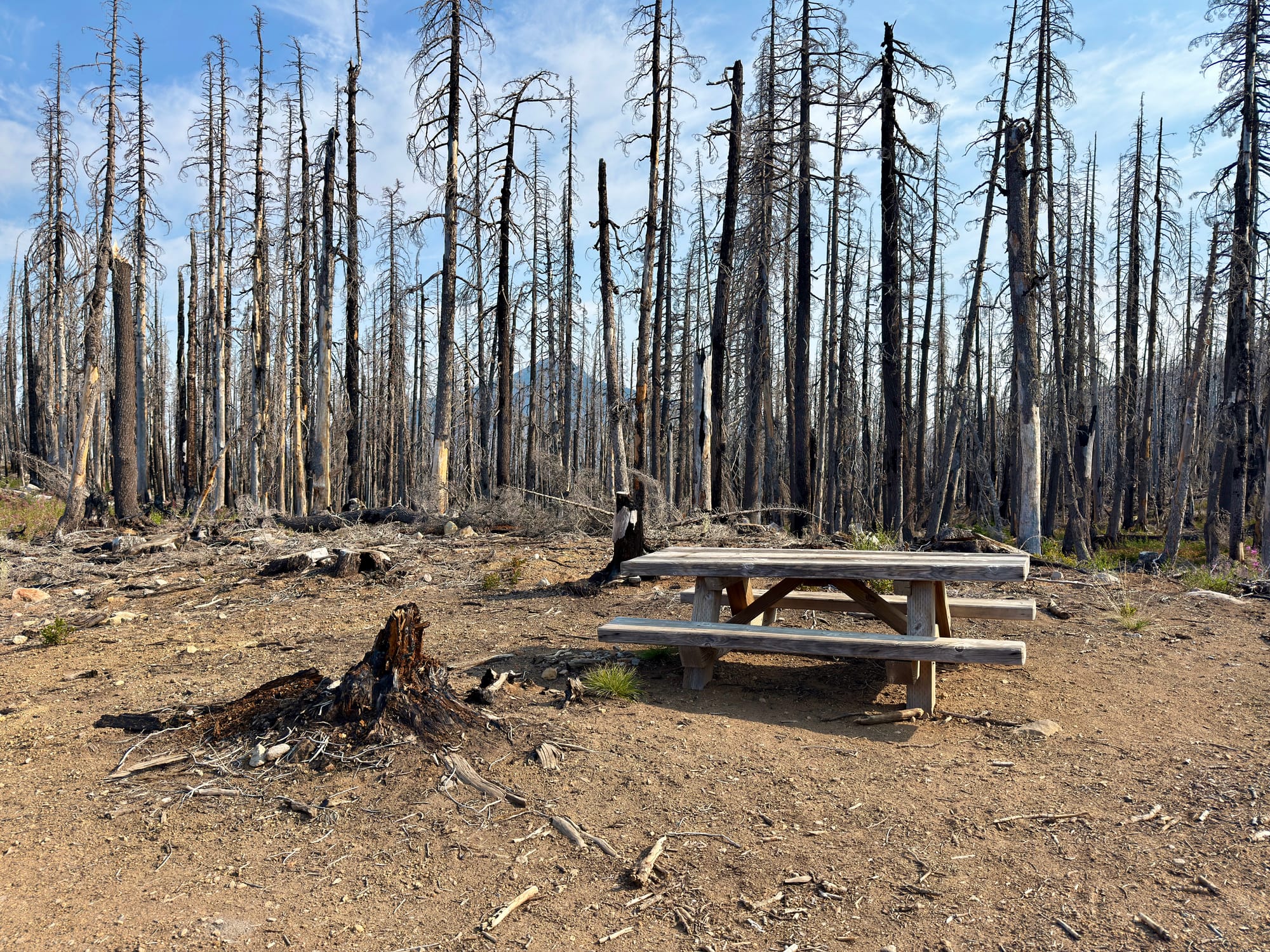 Pacific Crest Trail - Day 158 - Olallie Lake