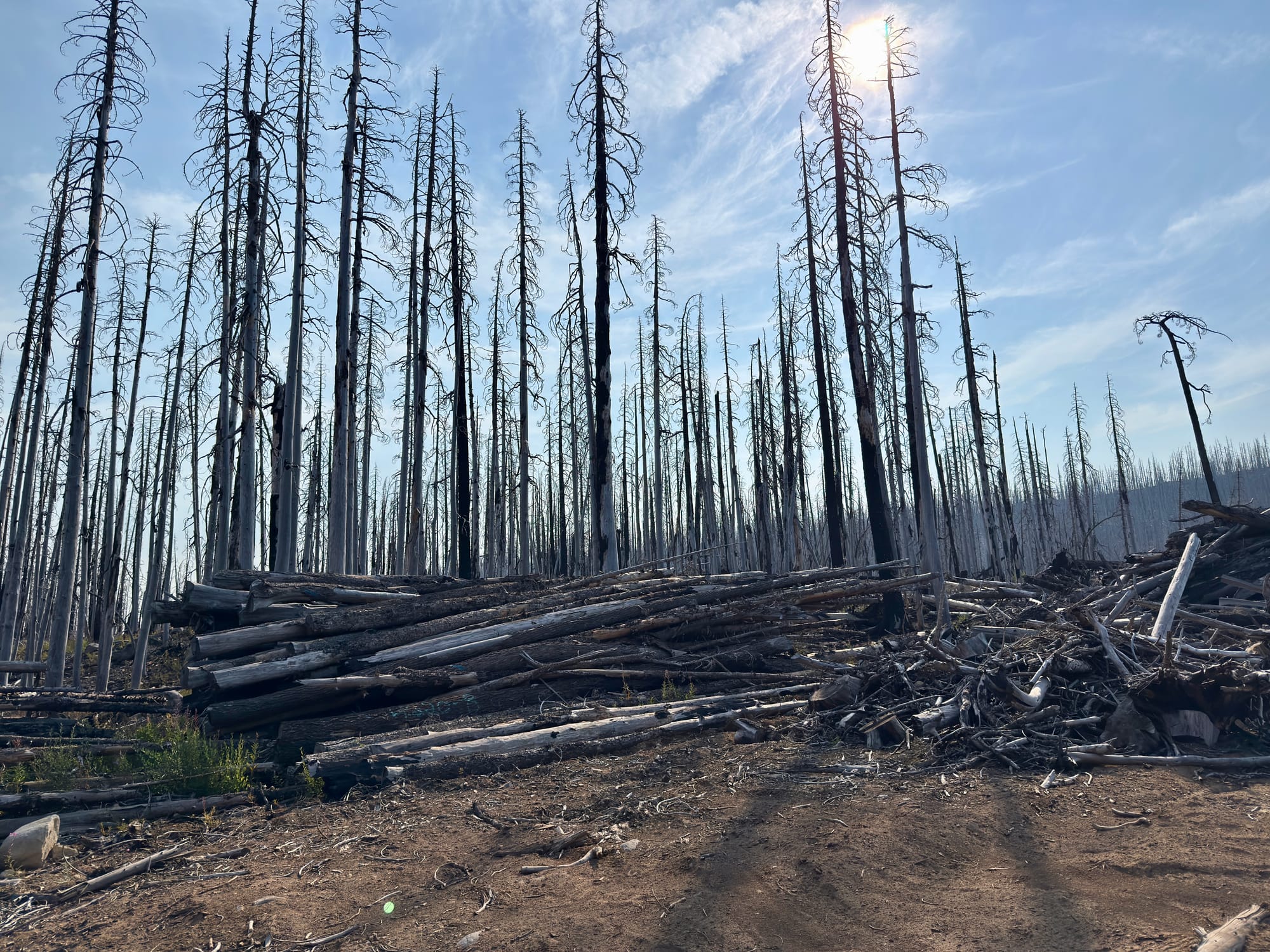 Pacific Crest Trail - Day 158 - Olallie Lake