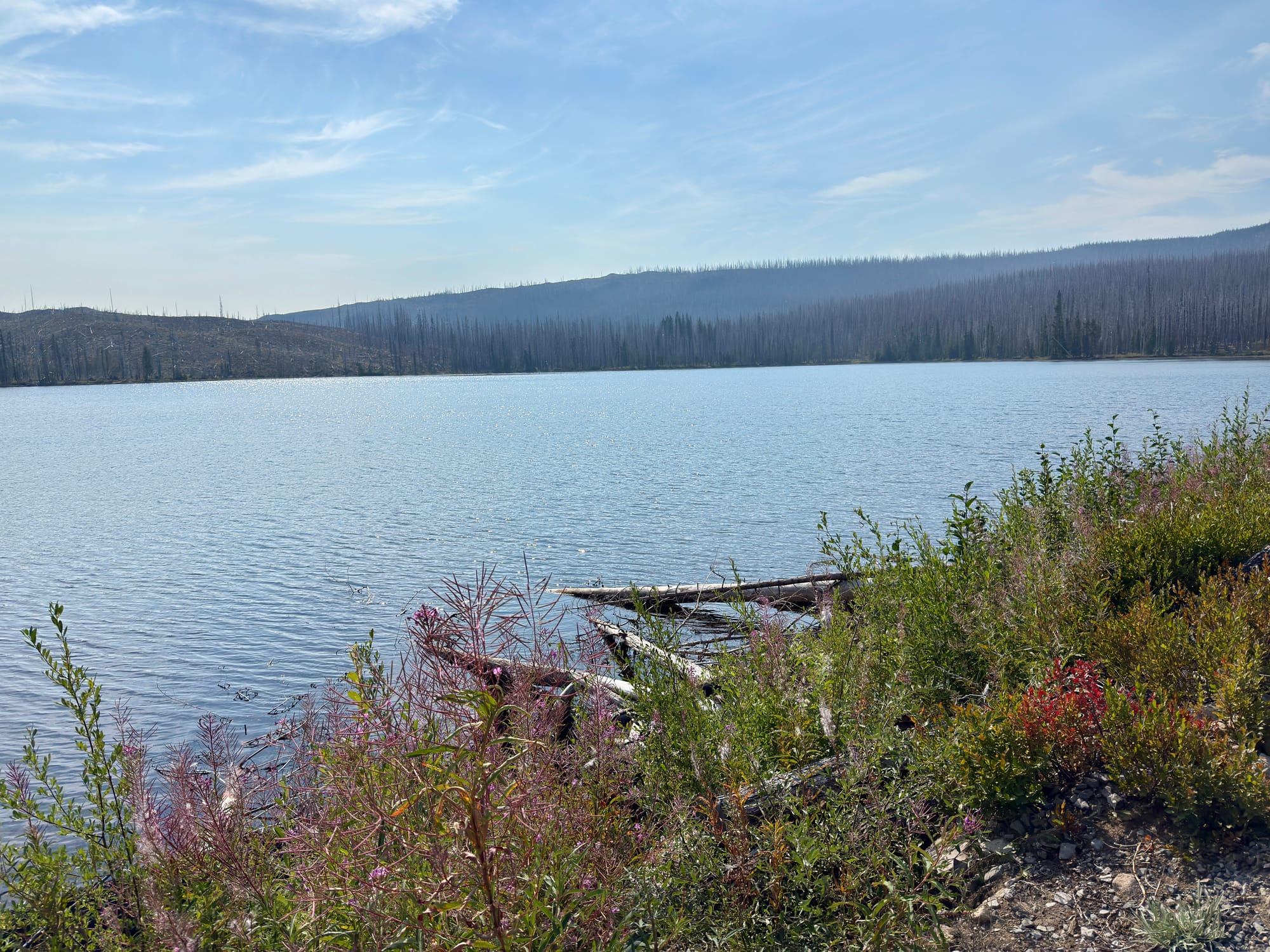 Pacific Crest Trail - Day 158 - Olallie Lake