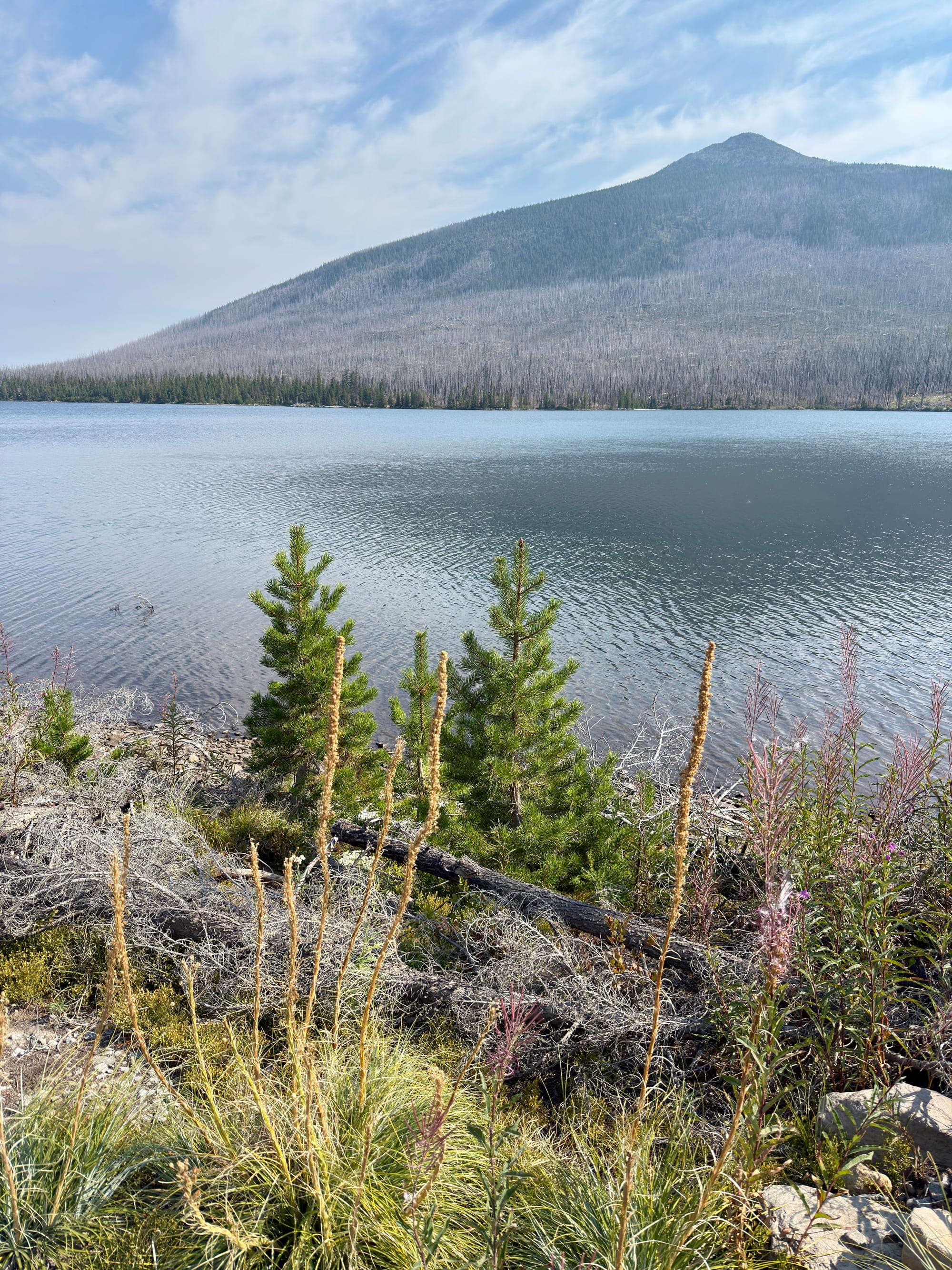 Pacific Crest Trail - Day 158 - Olallie Lake