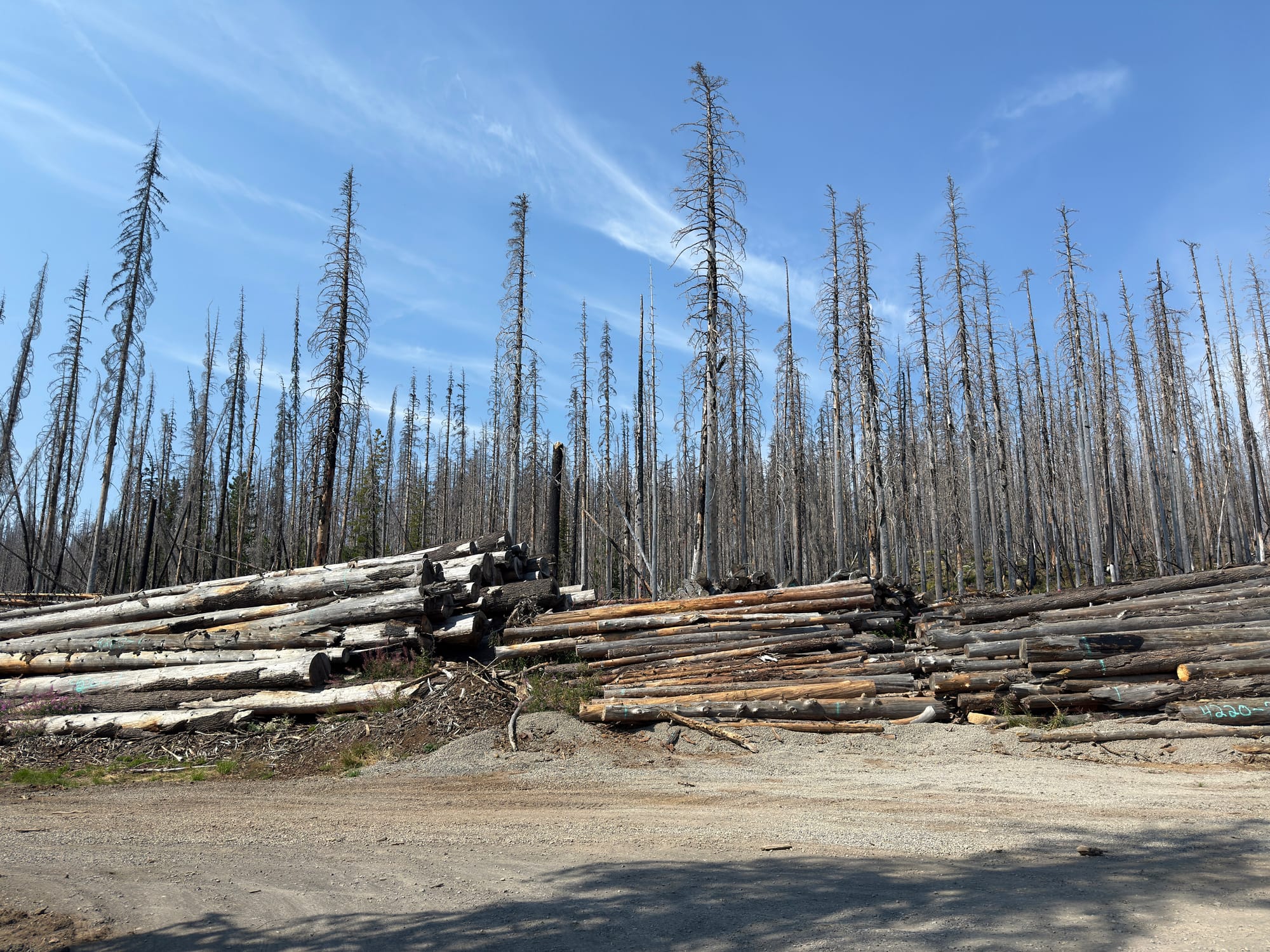 Pacific Crest Trail - Day 158 - Olallie Lake
