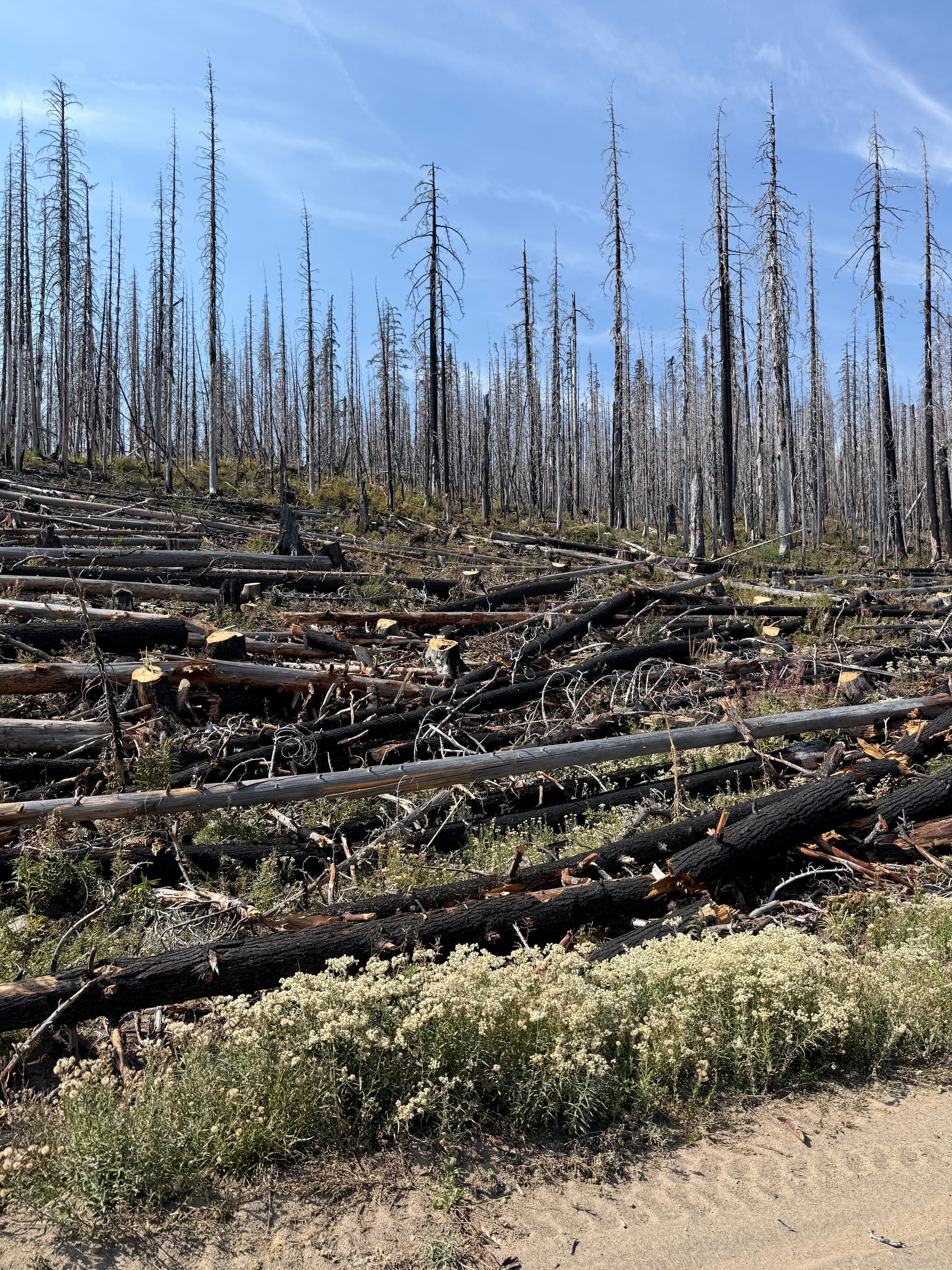 Pacific Crest Trail - Day 158 - Olallie Lake