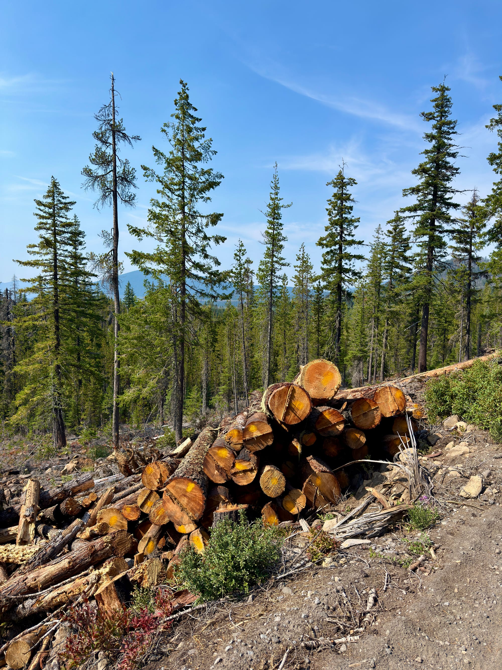 Pacific Crest Trail - Day 158 - Olallie Lake