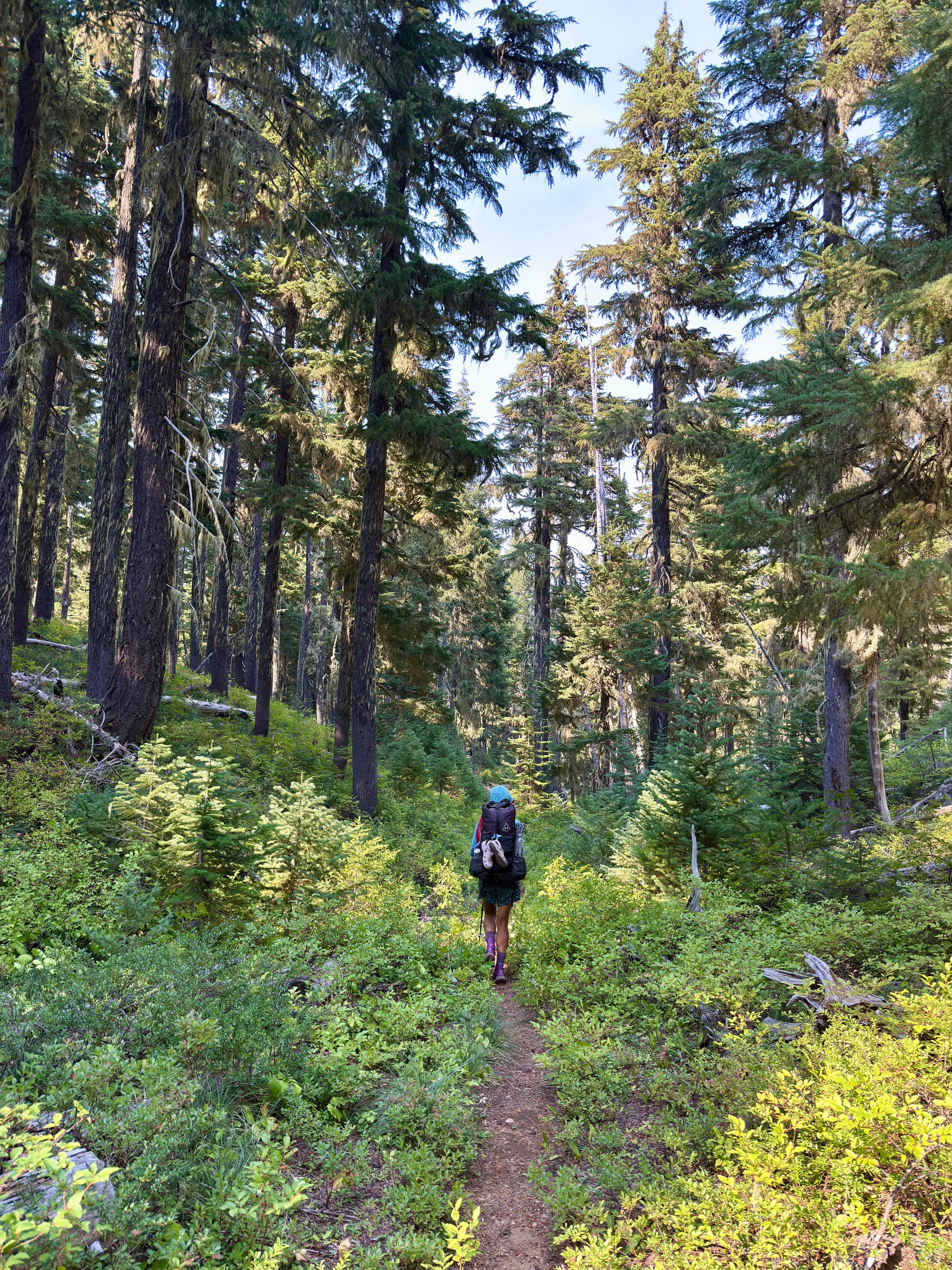 Pacific Crest Trail - Day 158 - Olallie Lake