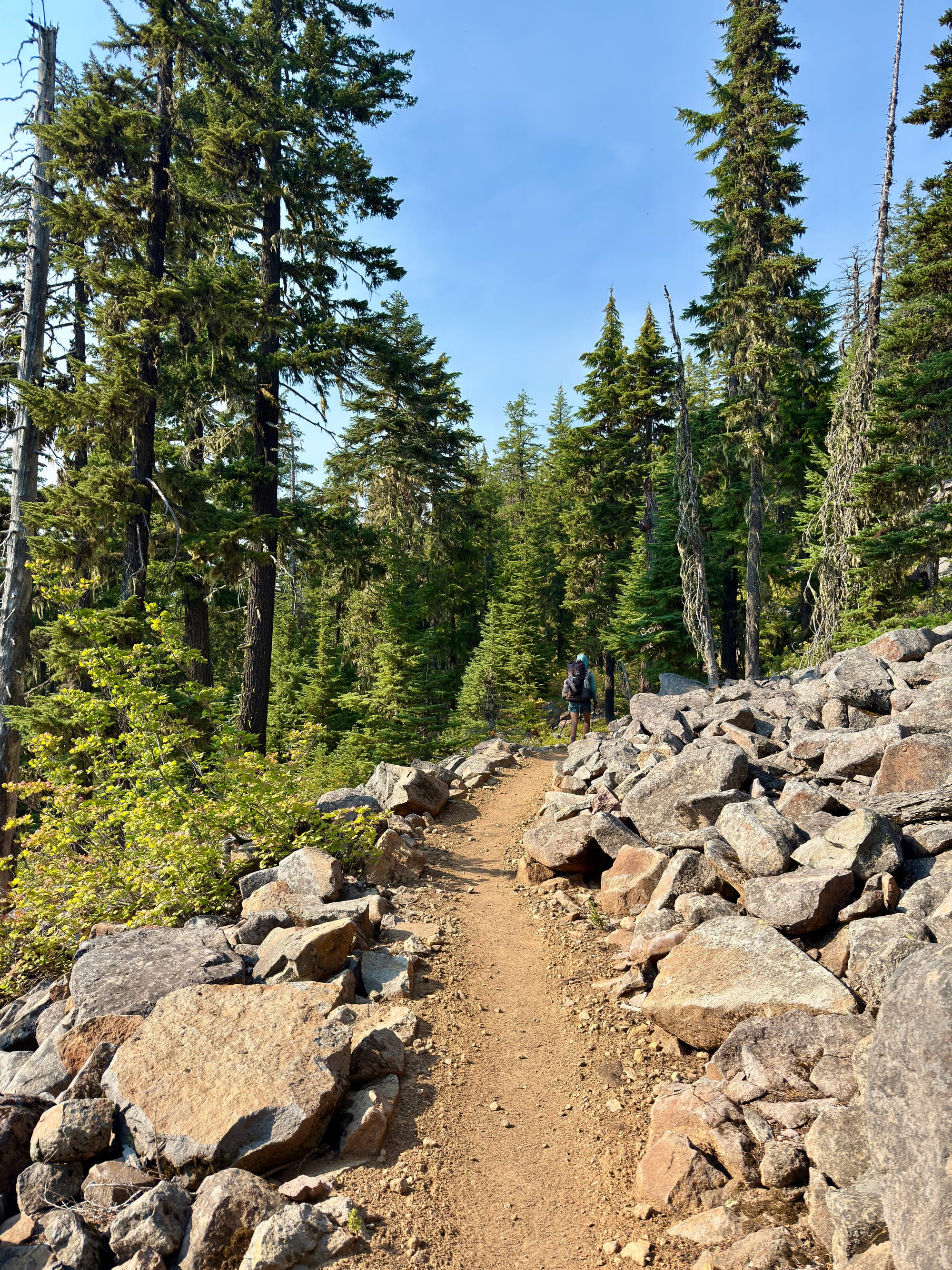 Pacific Crest Trail - Day 158 - Olallie Lake
