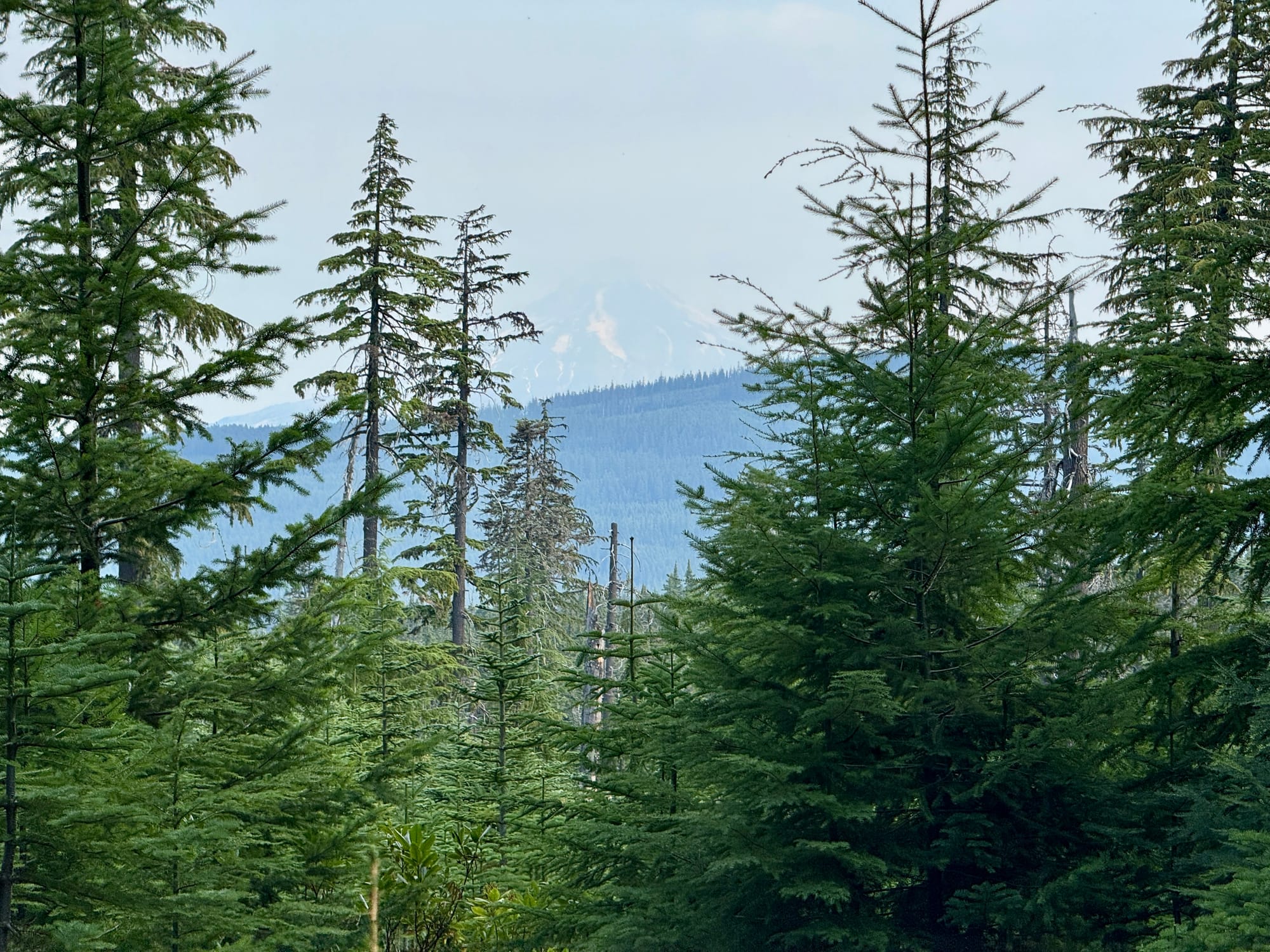 Pacific Crest Trail - Day 159 - Warm Springs Reservation