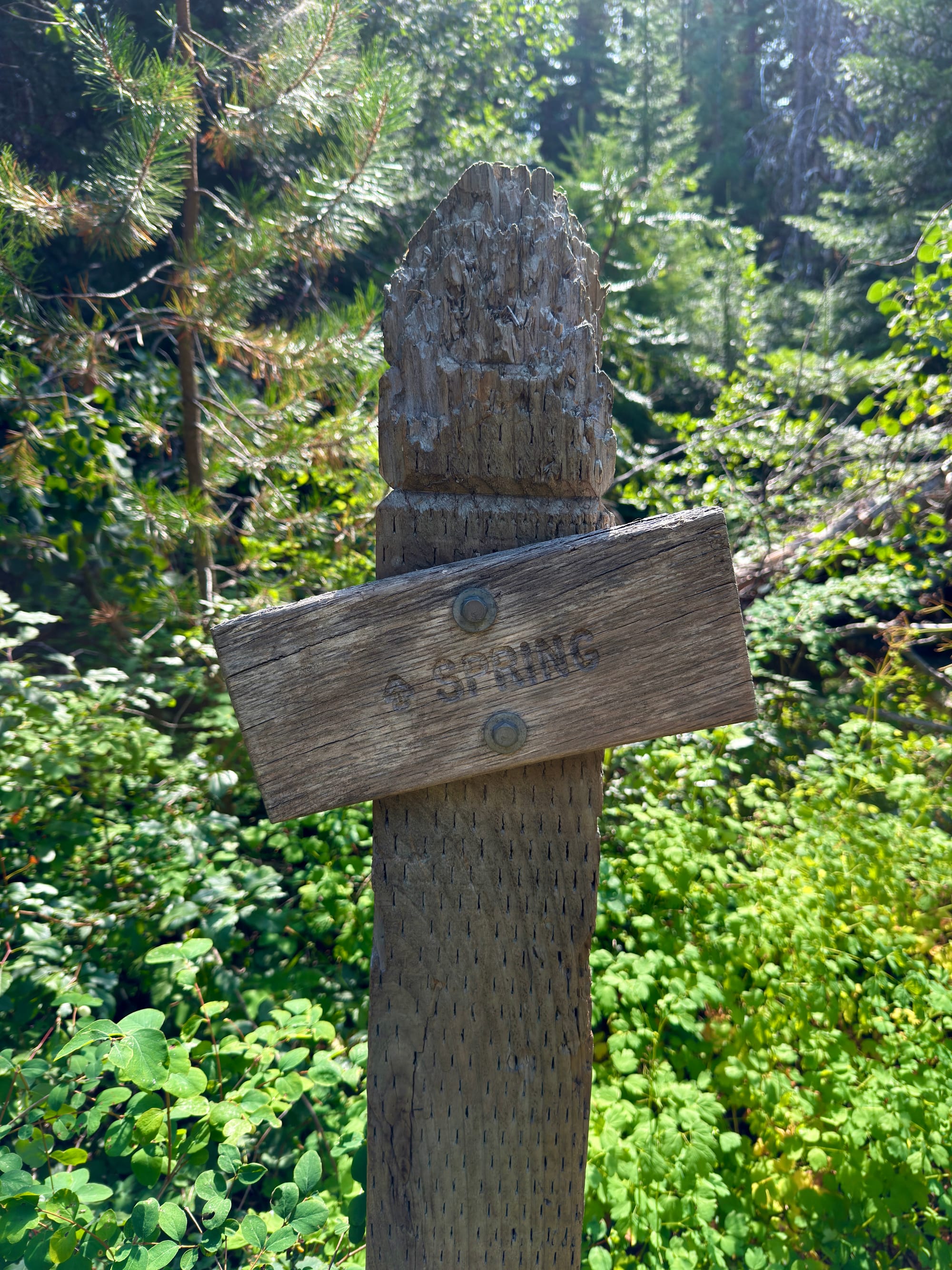 Pacific Crest Trail - Day 159 - Warm Springs Reservation