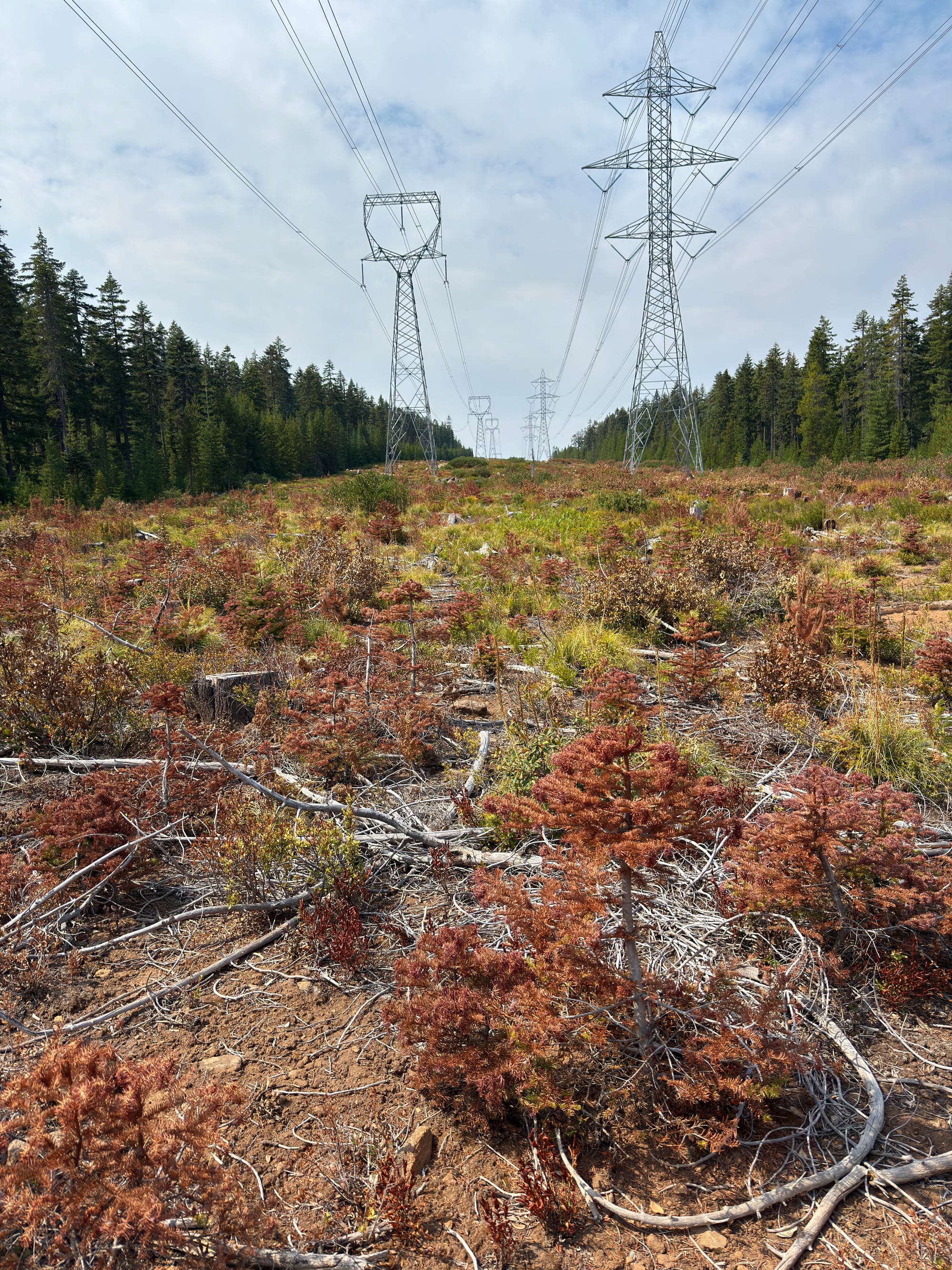 Pacific Crest Trail - Day 159 - Warm Springs Reservation