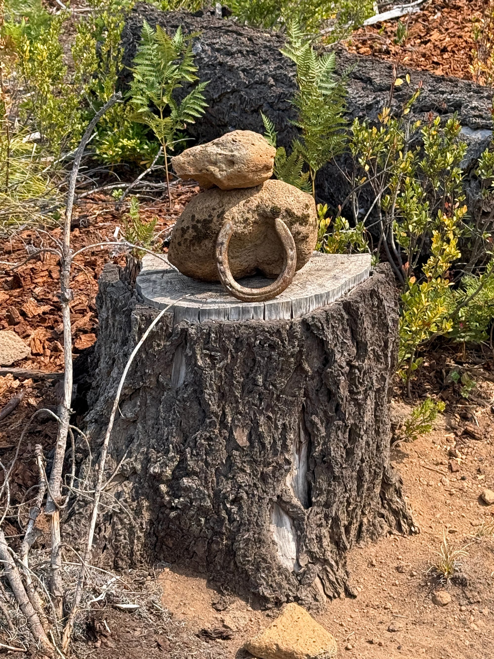 Pacific Crest Trail - Day 159 - Warm Springs Reservation