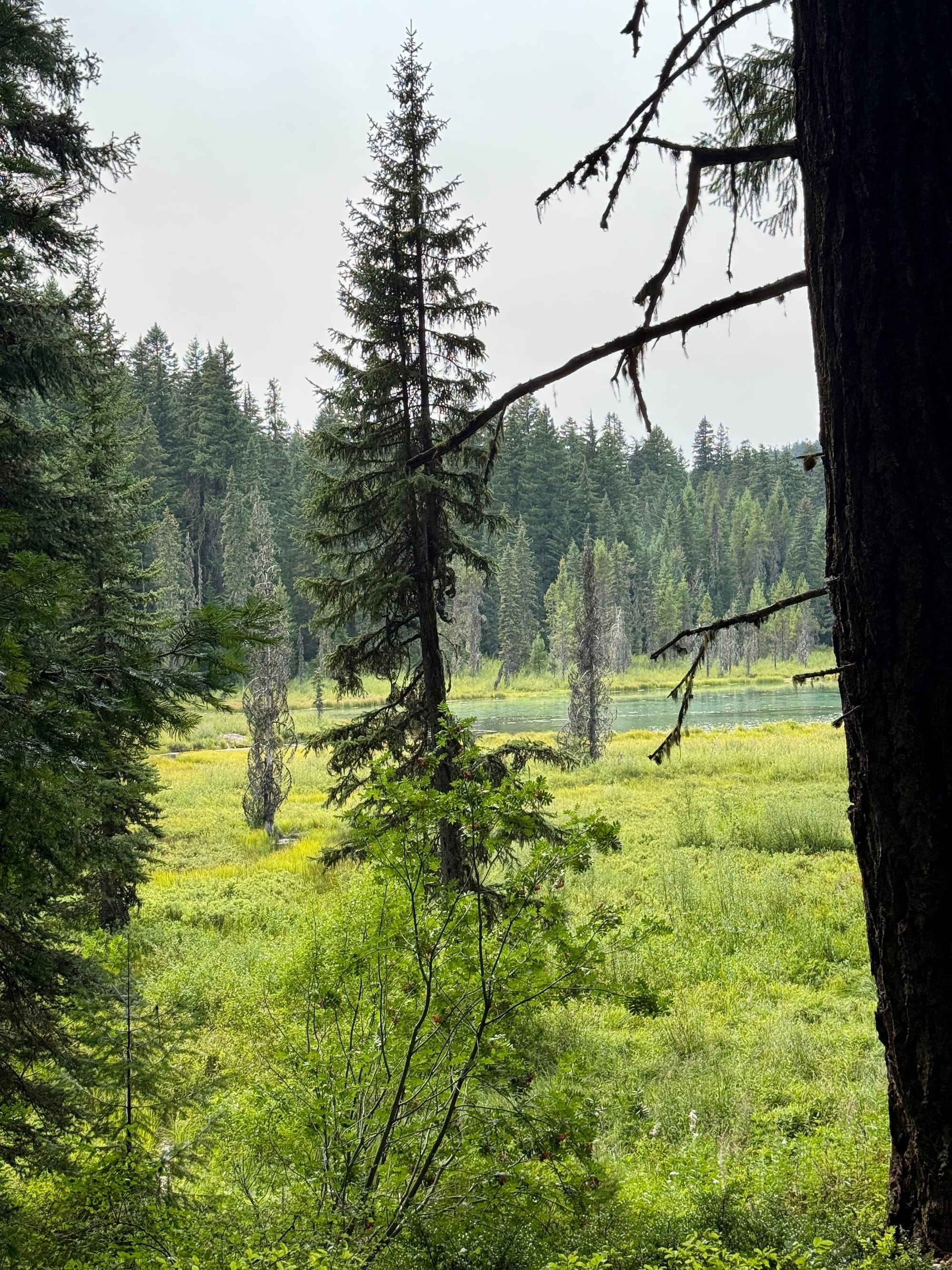 Pacific Crest Trail - Day 159 - Warm Springs Reservation