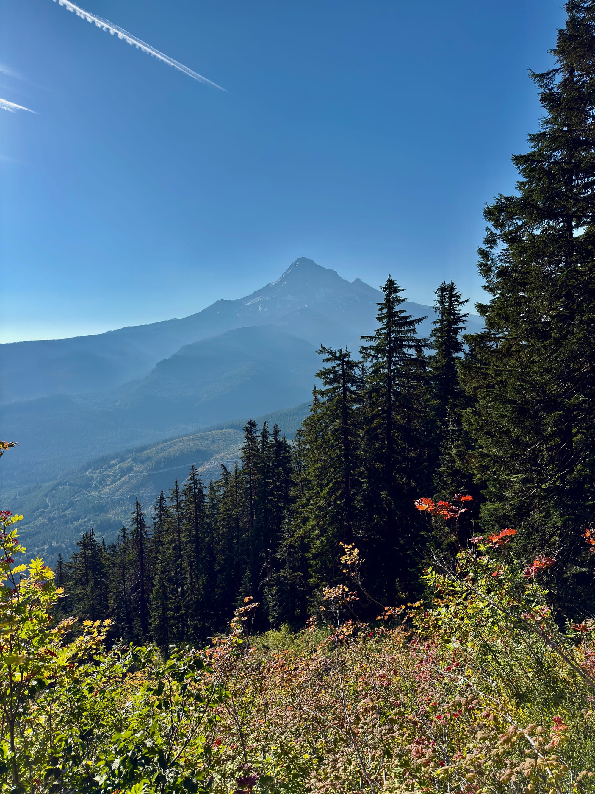Pacific Crest Trail - Day 160 - Eagle Creek to Cascade Locks