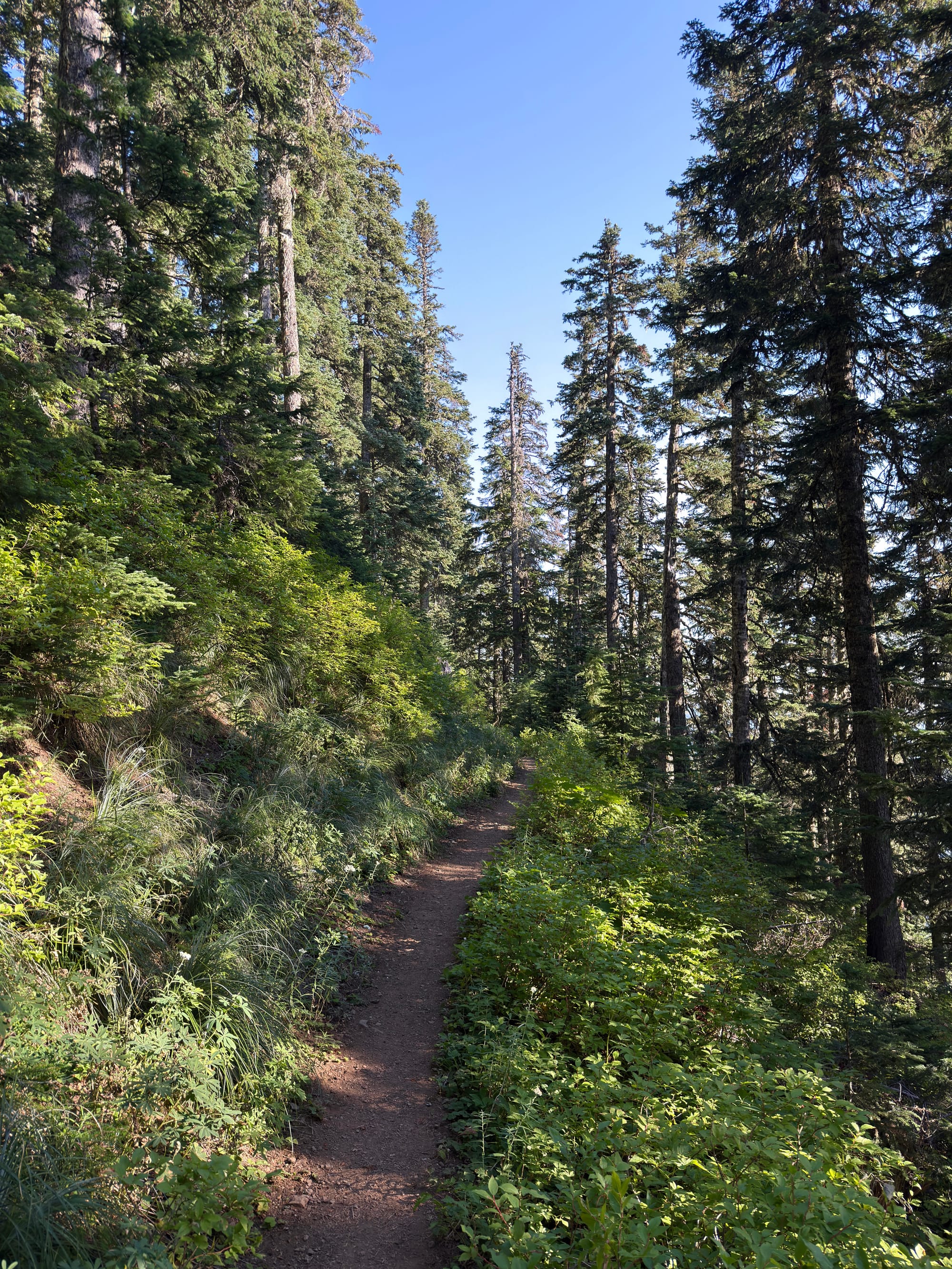 Pacific Crest Trail - Day 160 - Eagle Creek to Cascade Locks