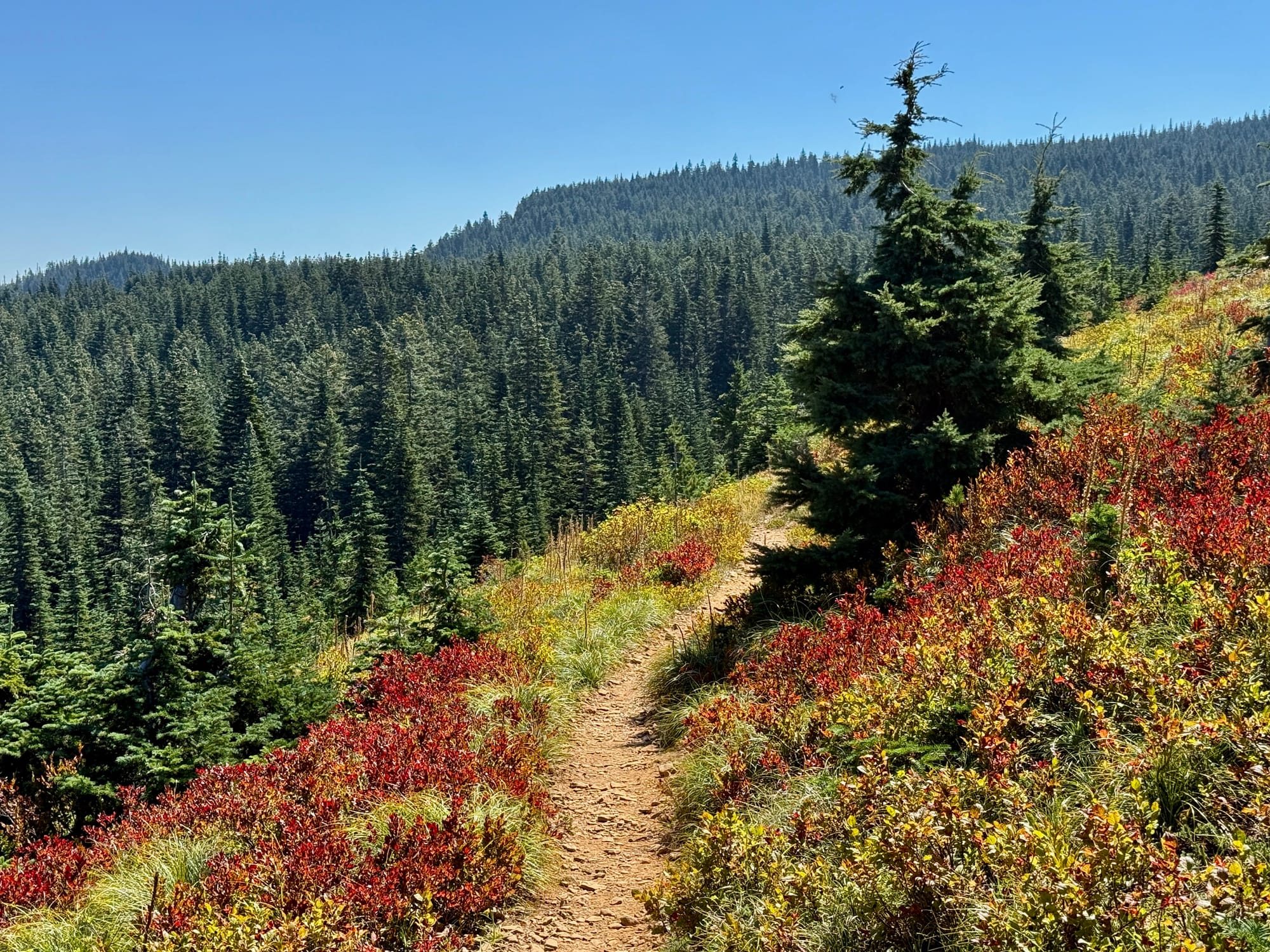 Pacific Crest Trail - Day 160 - Eagle Creek to Cascade Locks