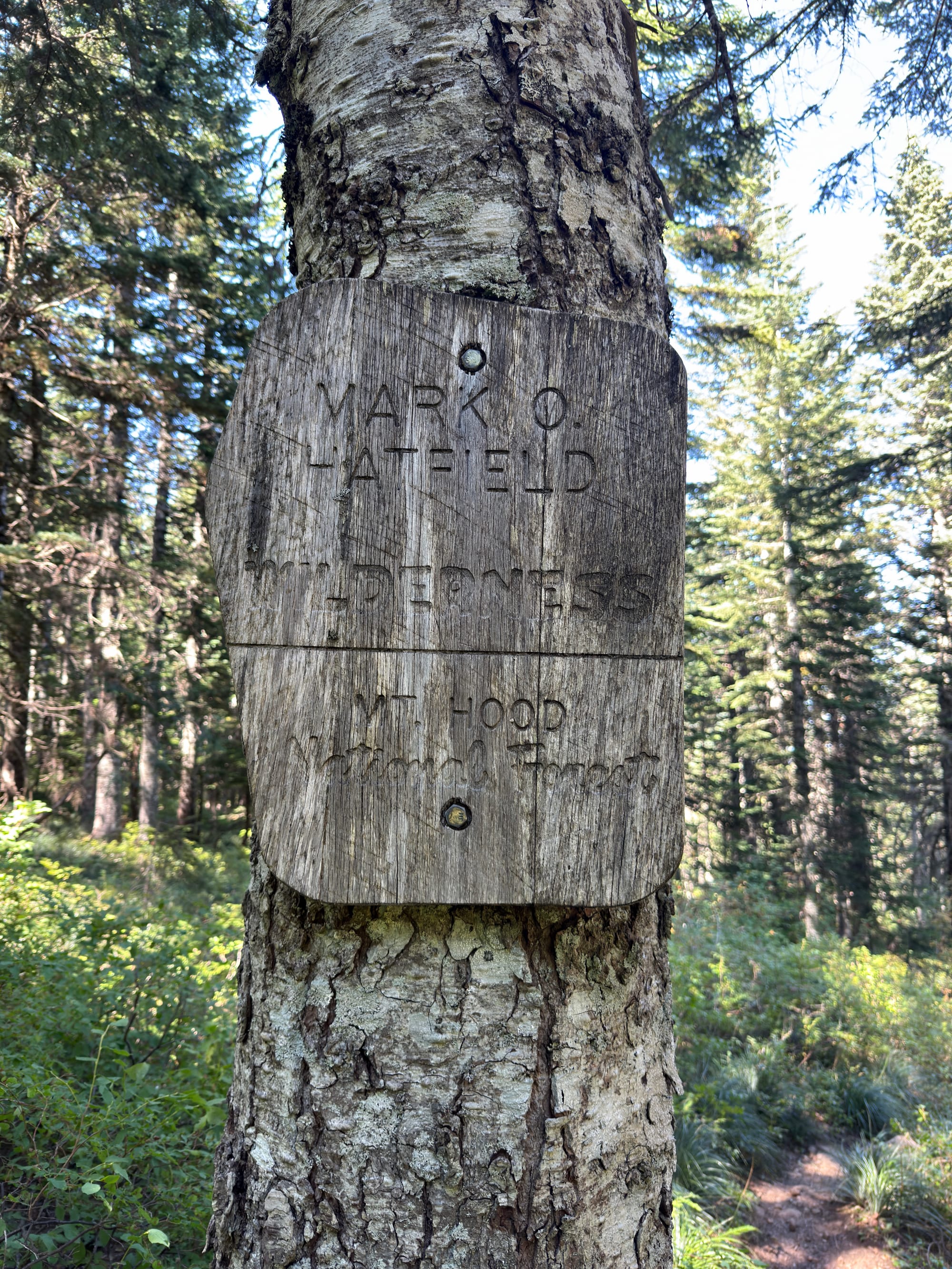 Pacific Crest Trail - Day 160 - Eagle Creek to Cascade Locks