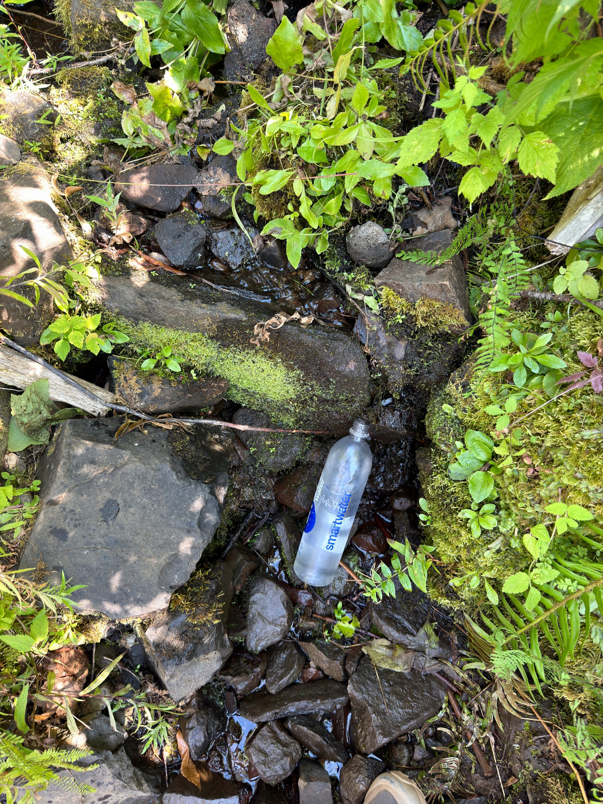 Pacific Crest Trail - Day 160 - Eagle Creek to Cascade Locks