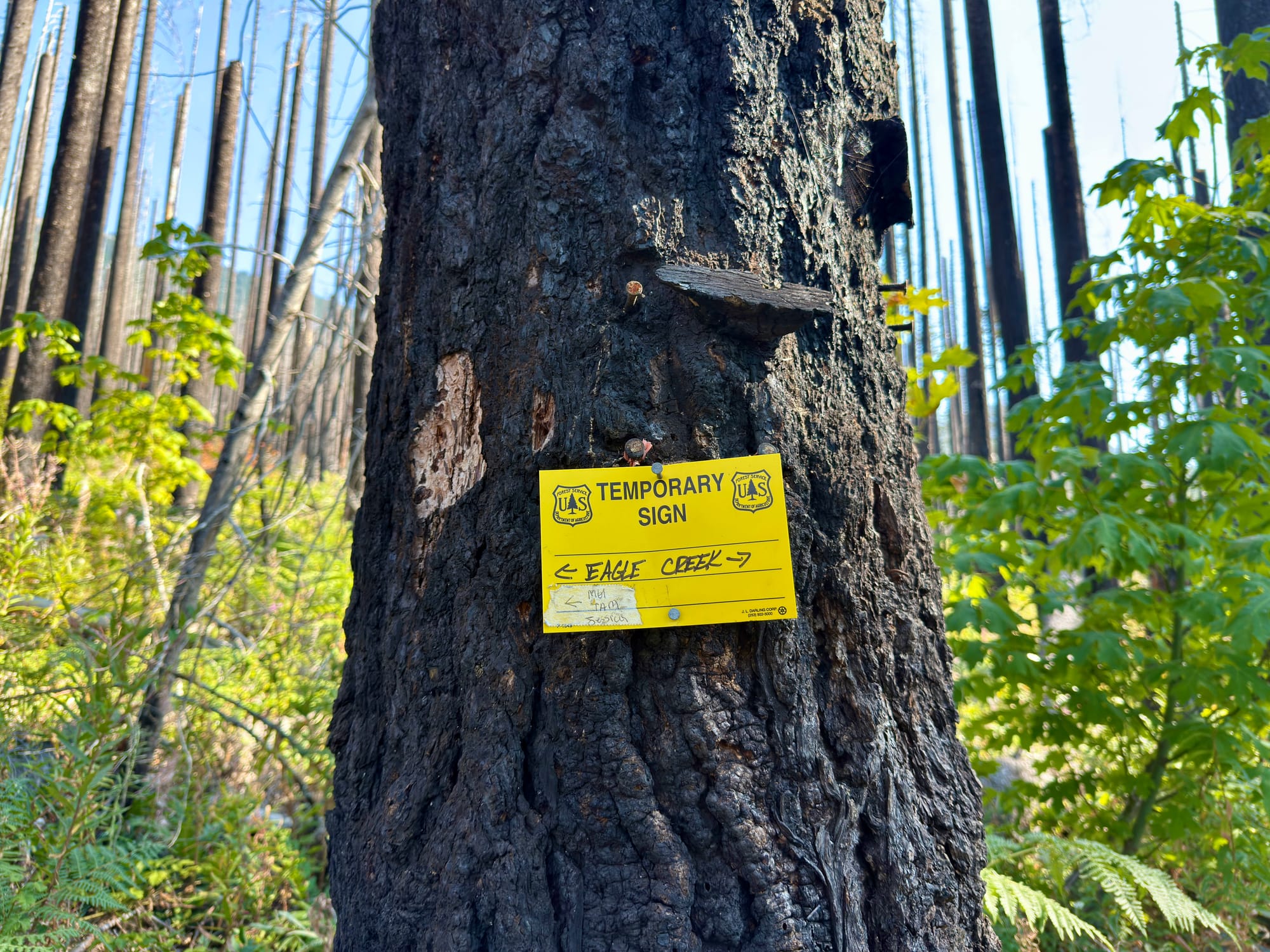 Pacific Crest Trail - Day 160 - Eagle Creek to Cascade Locks