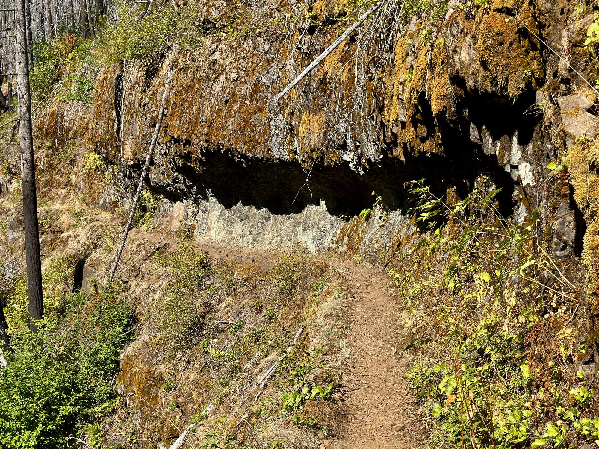 Pacific Crest Trail - Day 160 - Eagle Creek to Cascade Locks