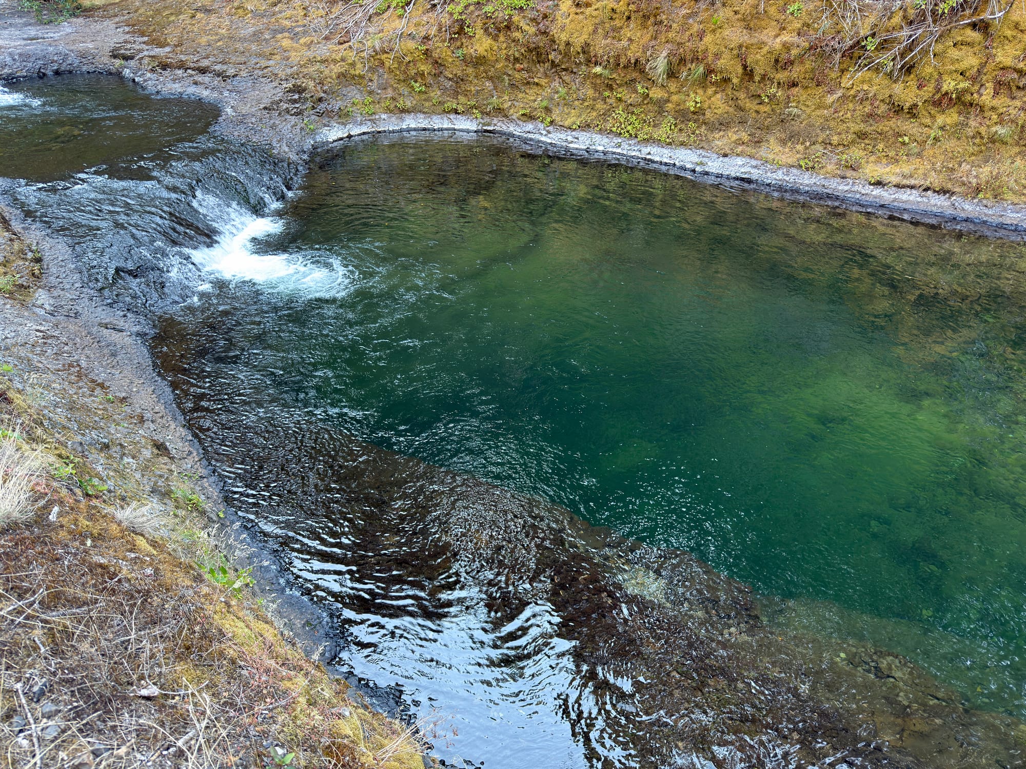 Pacific Crest Trail - Day 160 - Eagle Creek to Cascade Locks