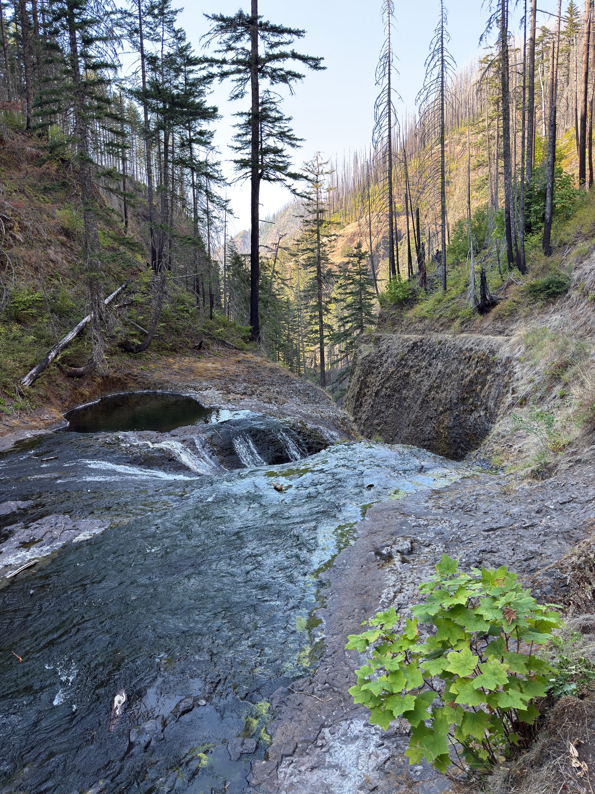 Pacific Crest Trail - Day 160 - Eagle Creek to Cascade Locks