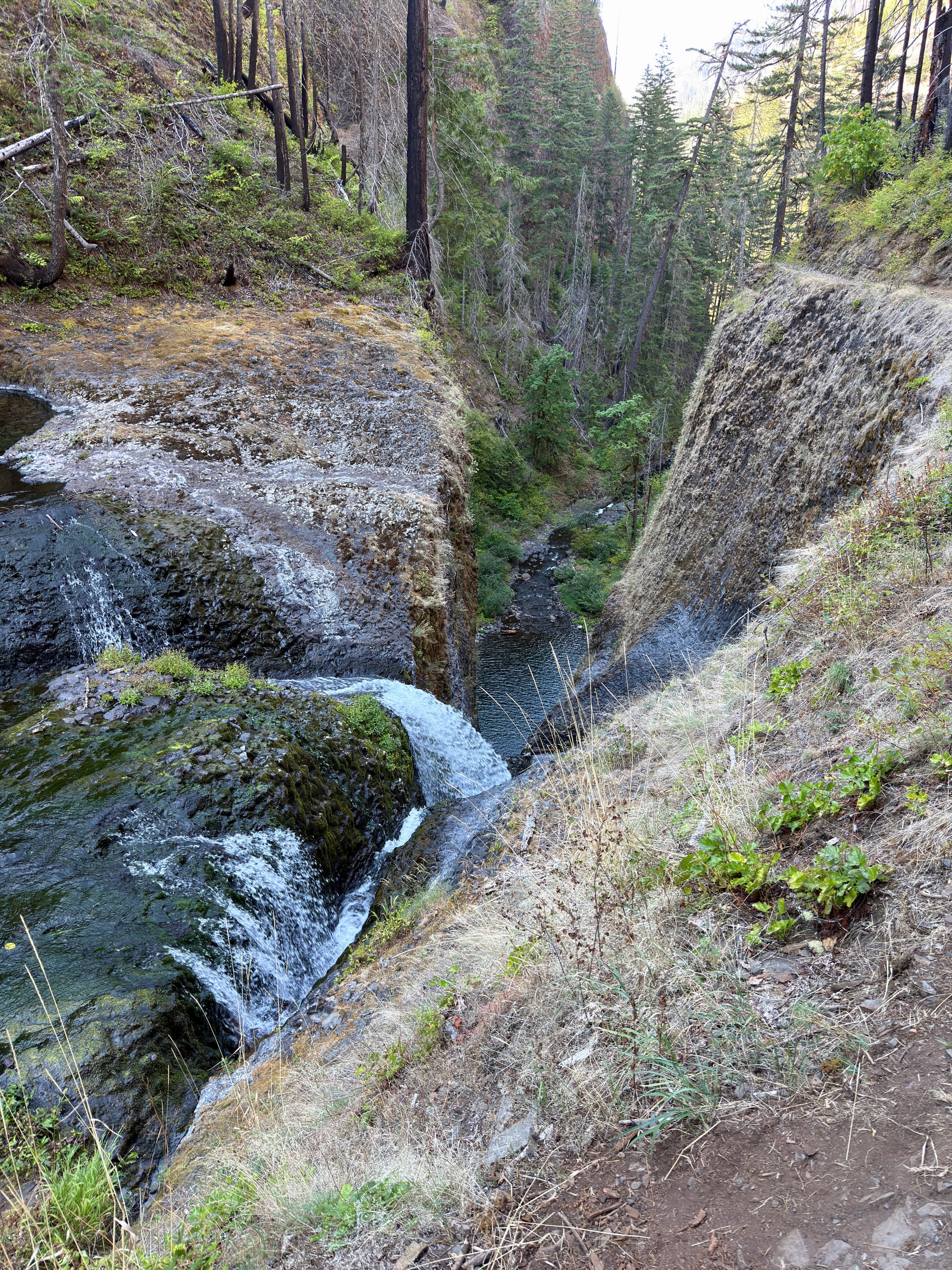 Pacific Crest Trail - Day 160 - Eagle Creek to Cascade Locks