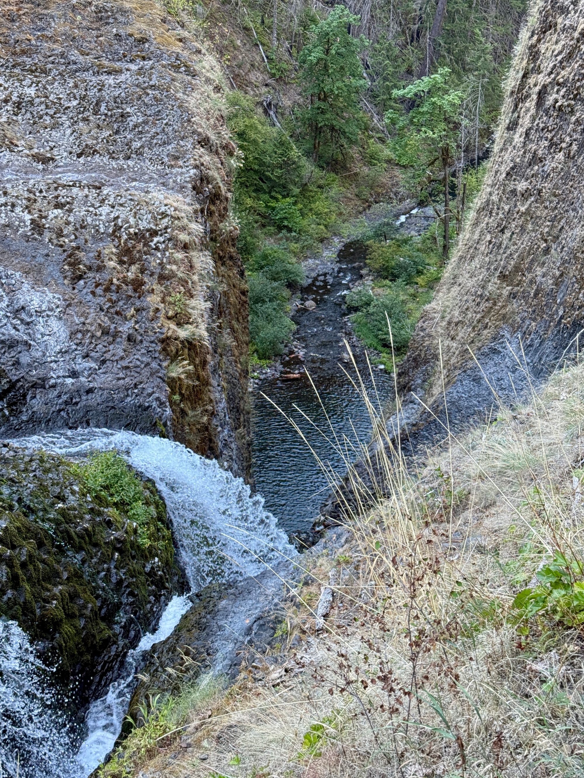 Pacific Crest Trail - Day 160 - Eagle Creek to Cascade Locks