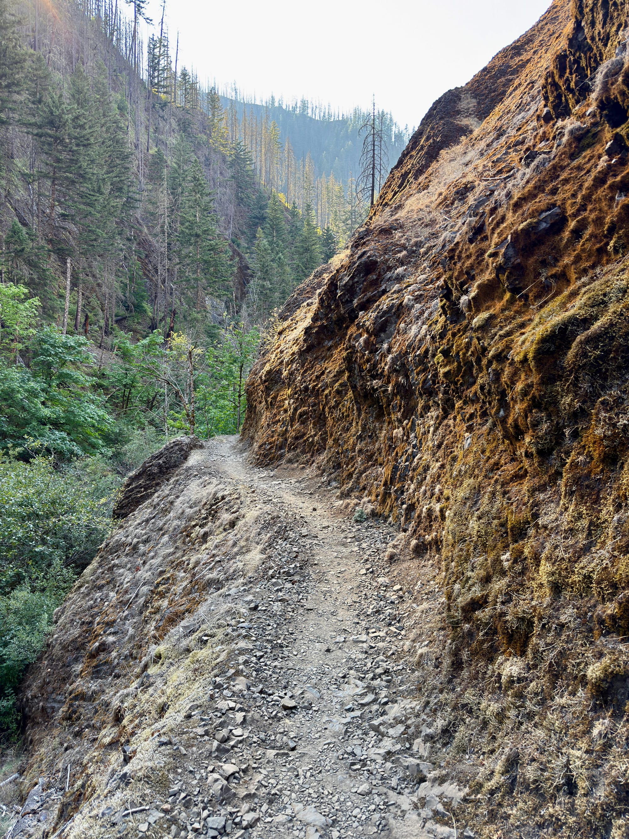 Pacific Crest Trail - Day 160 - Eagle Creek to Cascade Locks