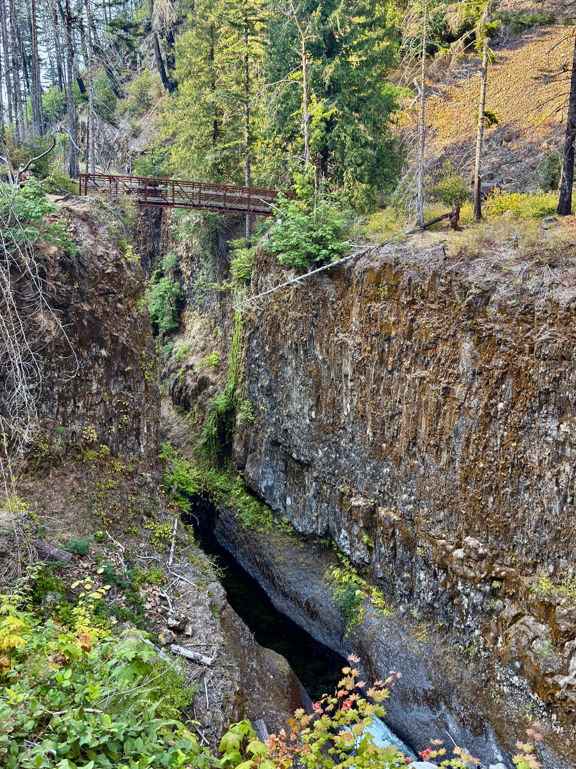 Pacific Crest Trail - Day 160 - Eagle Creek to Cascade Locks