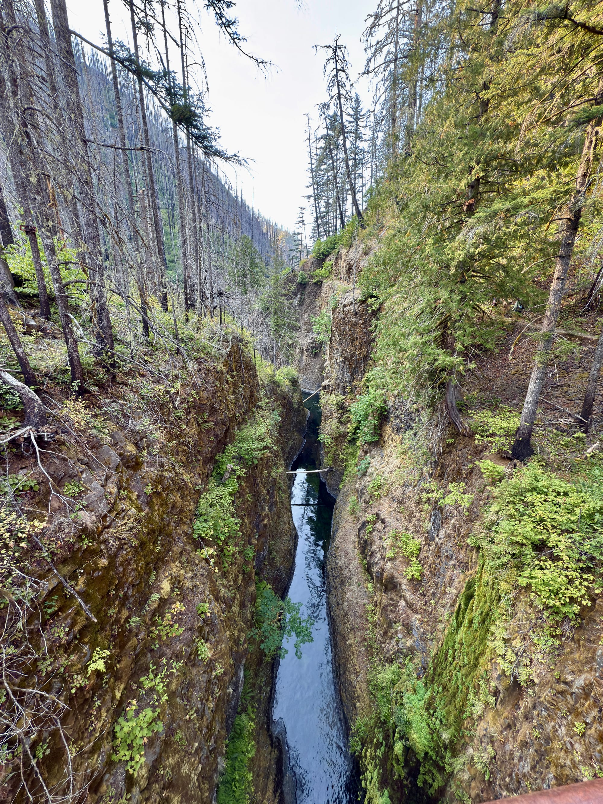 Pacific Crest Trail - Day 160 - Eagle Creek to Cascade Locks