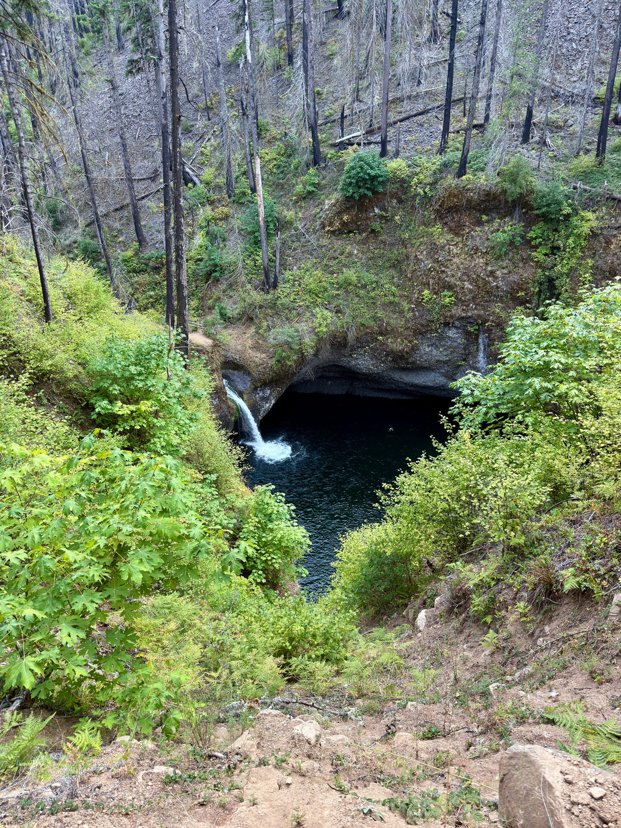 Pacific Crest Trail - Day 160 - Eagle Creek to Cascade Locks