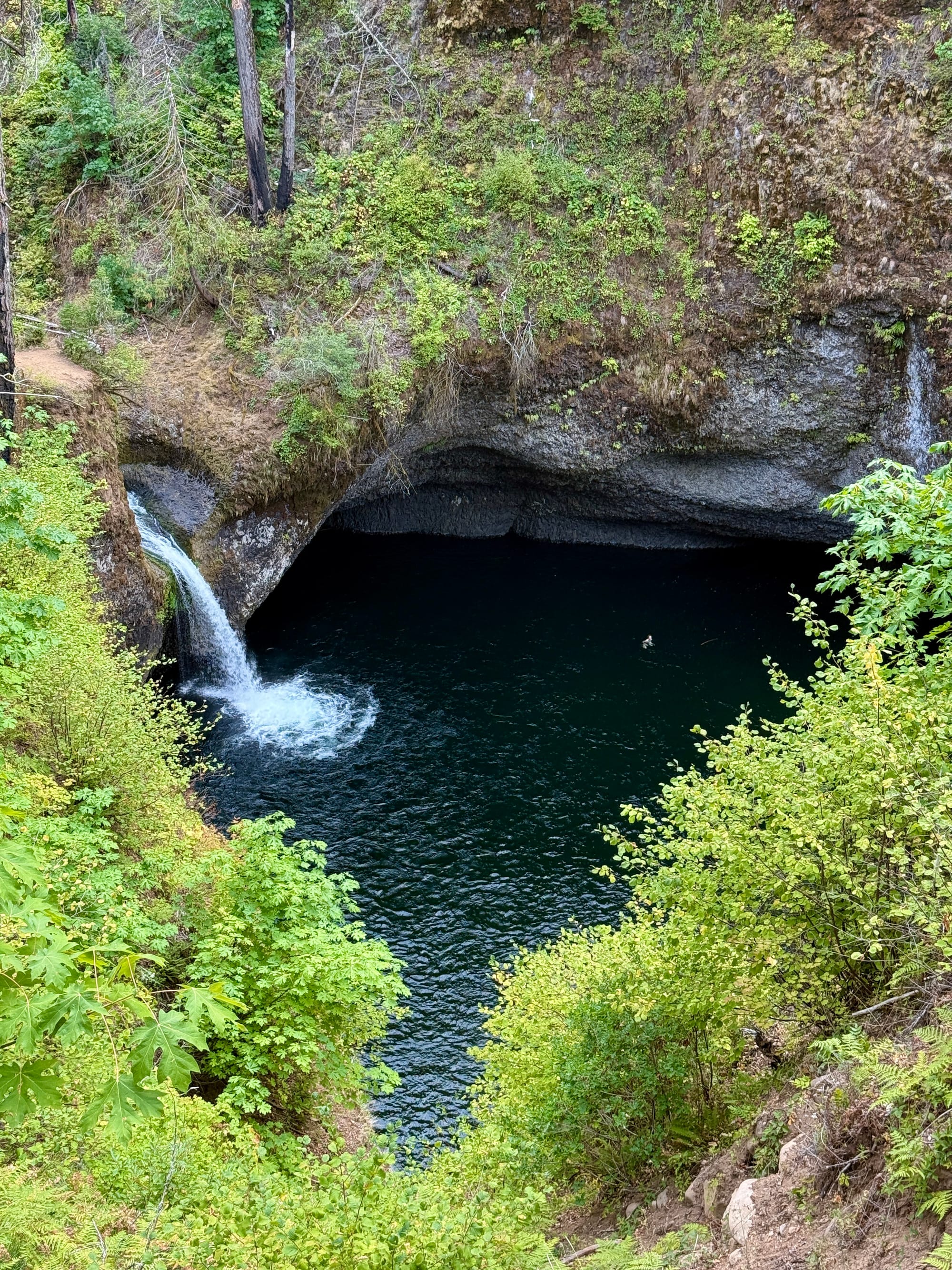 Pacific Crest Trail - Day 160 - Eagle Creek to Cascade Locks
