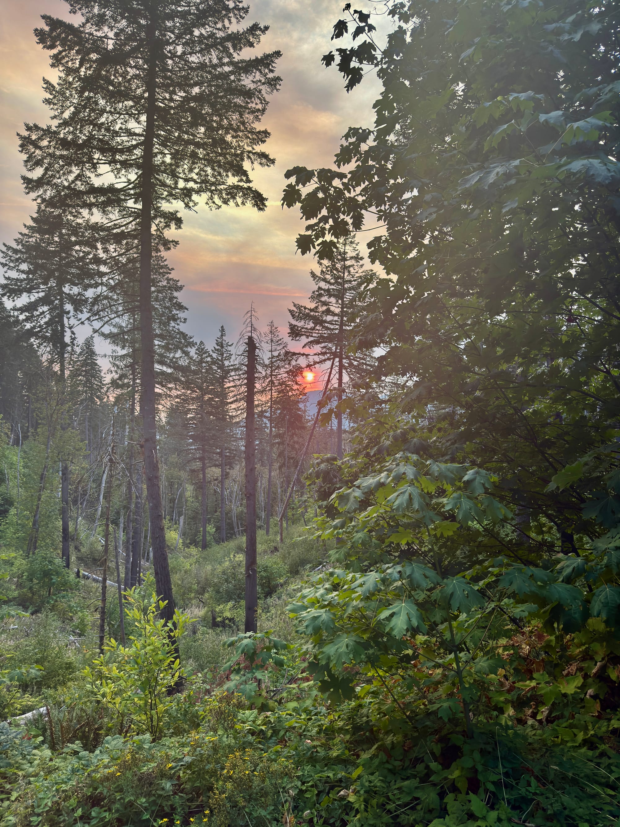 Pacific Crest Trail - Day 160 - Eagle Creek to Cascade Locks