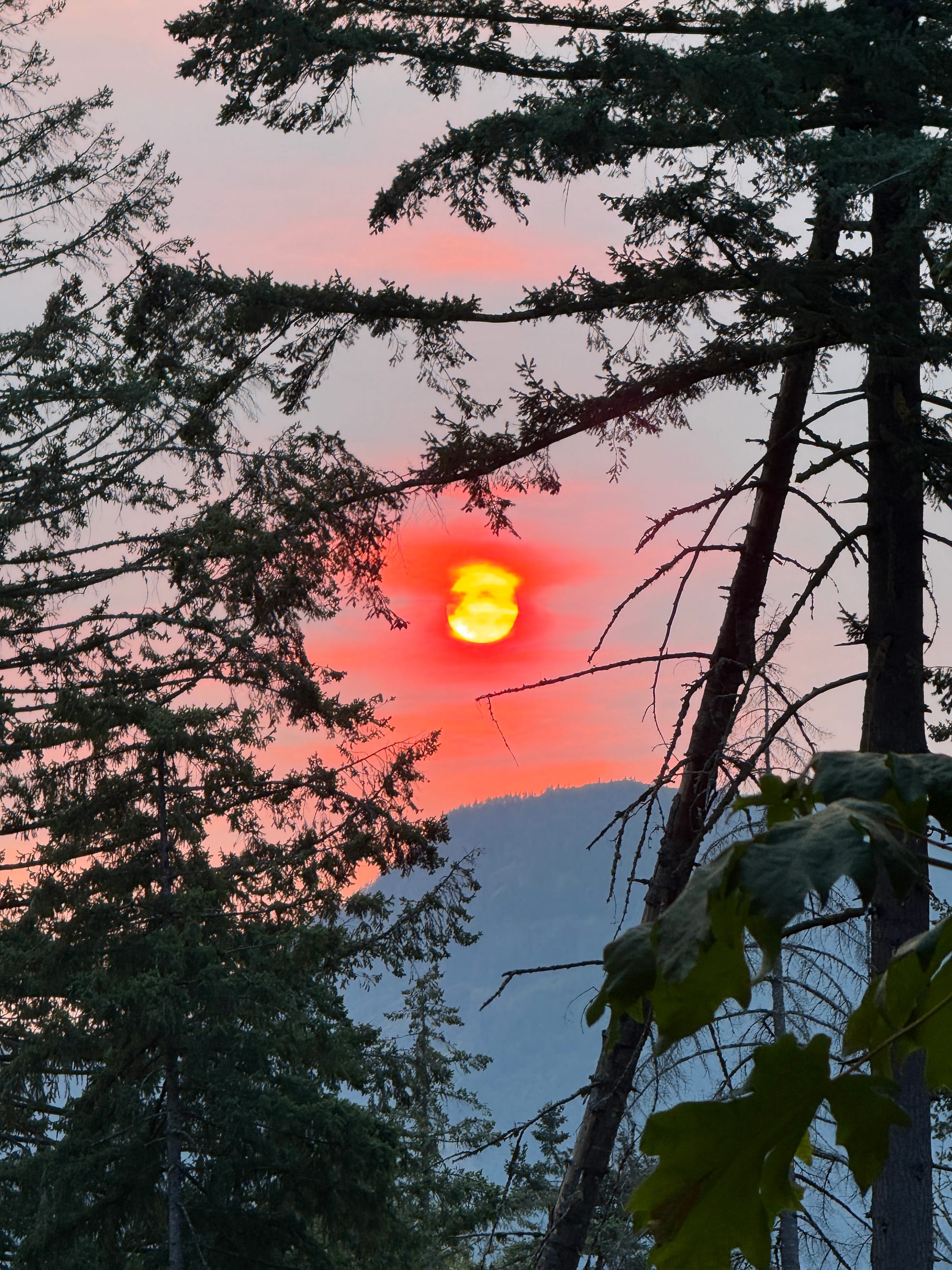 Pacific Crest Trail - Day 160 - Eagle Creek to Cascade Locks