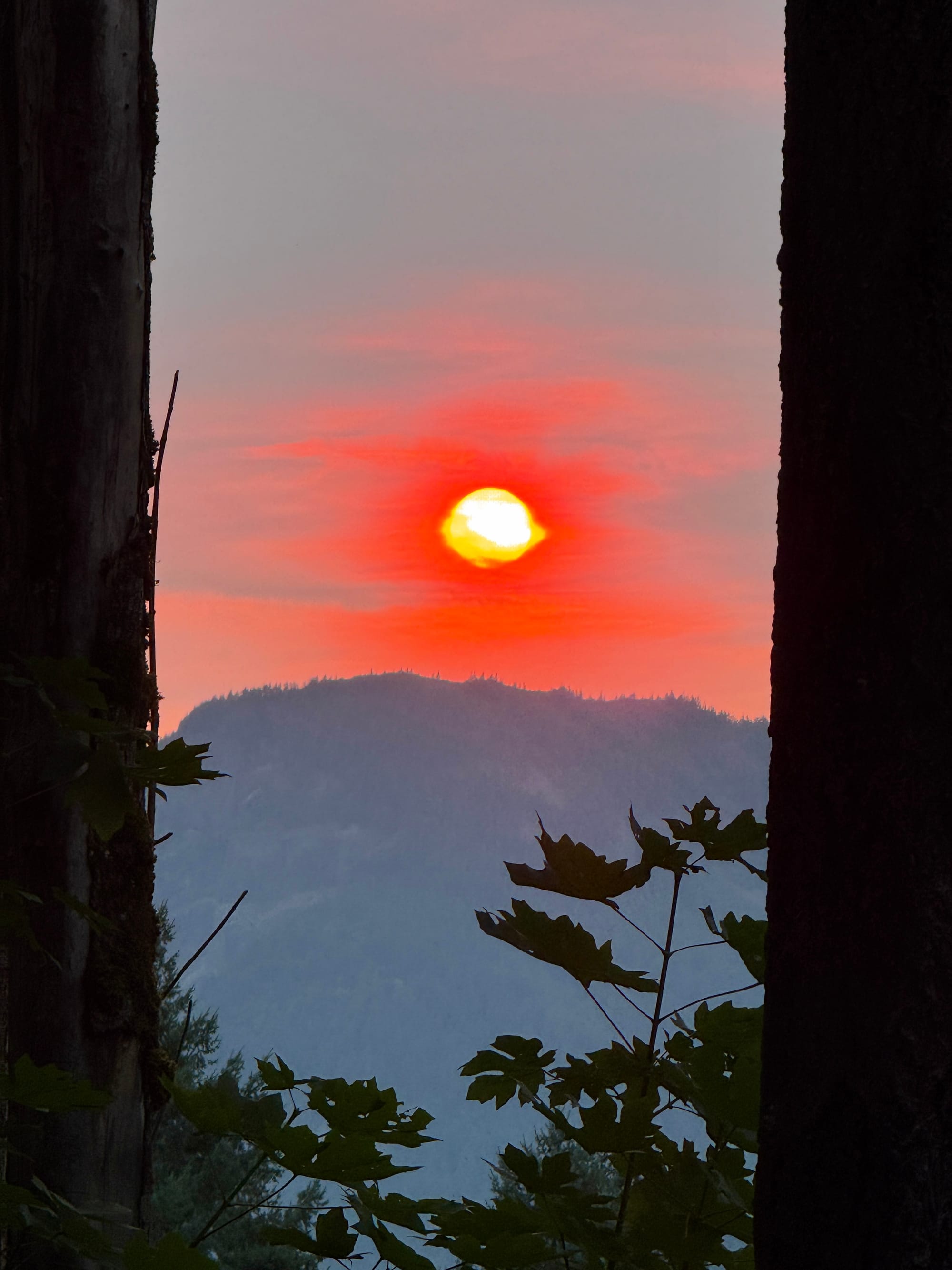 Pacific Crest Trail - Day 160 - Eagle Creek to Cascade Locks