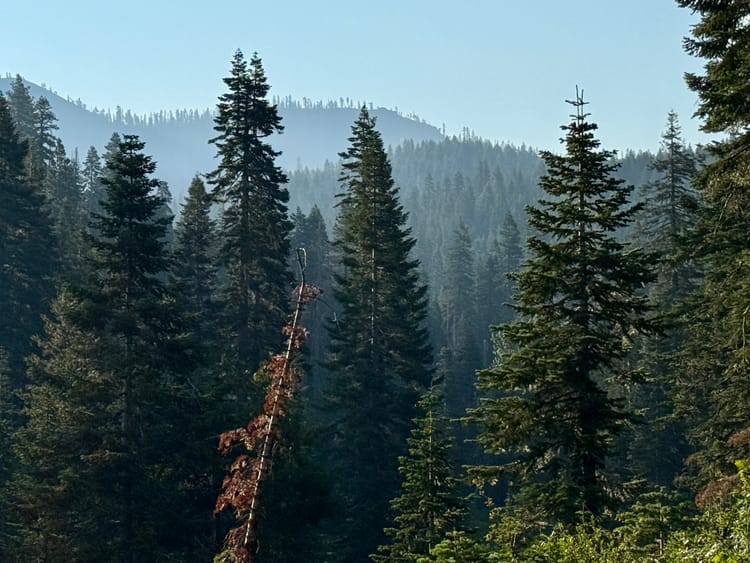 Pacific Crest Trail - Day 113 - Middle Fork Feather River