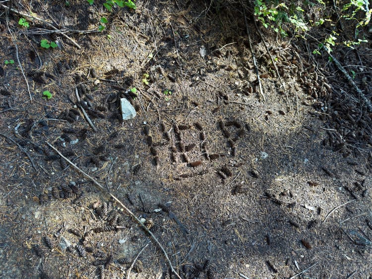 Pacific Crest Trail - Day 181 - Glacier Peak Wilderness