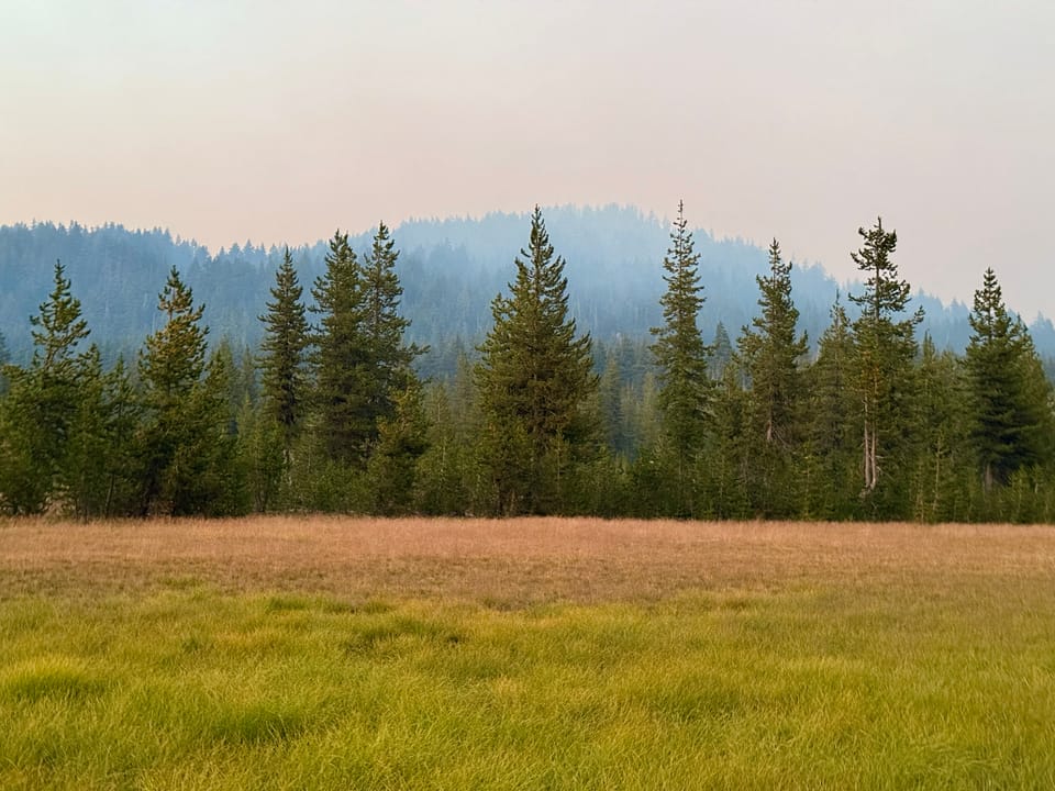 Pacific Crest Trail - Day 151 - Three Sisters Wilderness