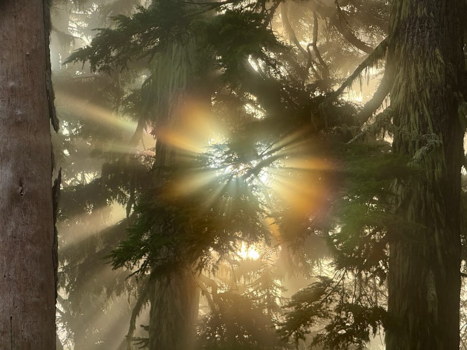 Pacific Crest Trail - Day 176 - Alpine Lakes Wilderness