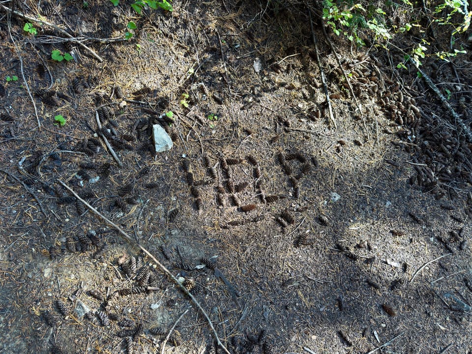 Pacific Crest Trail - Day 181 - Glacier Peak Wilderness